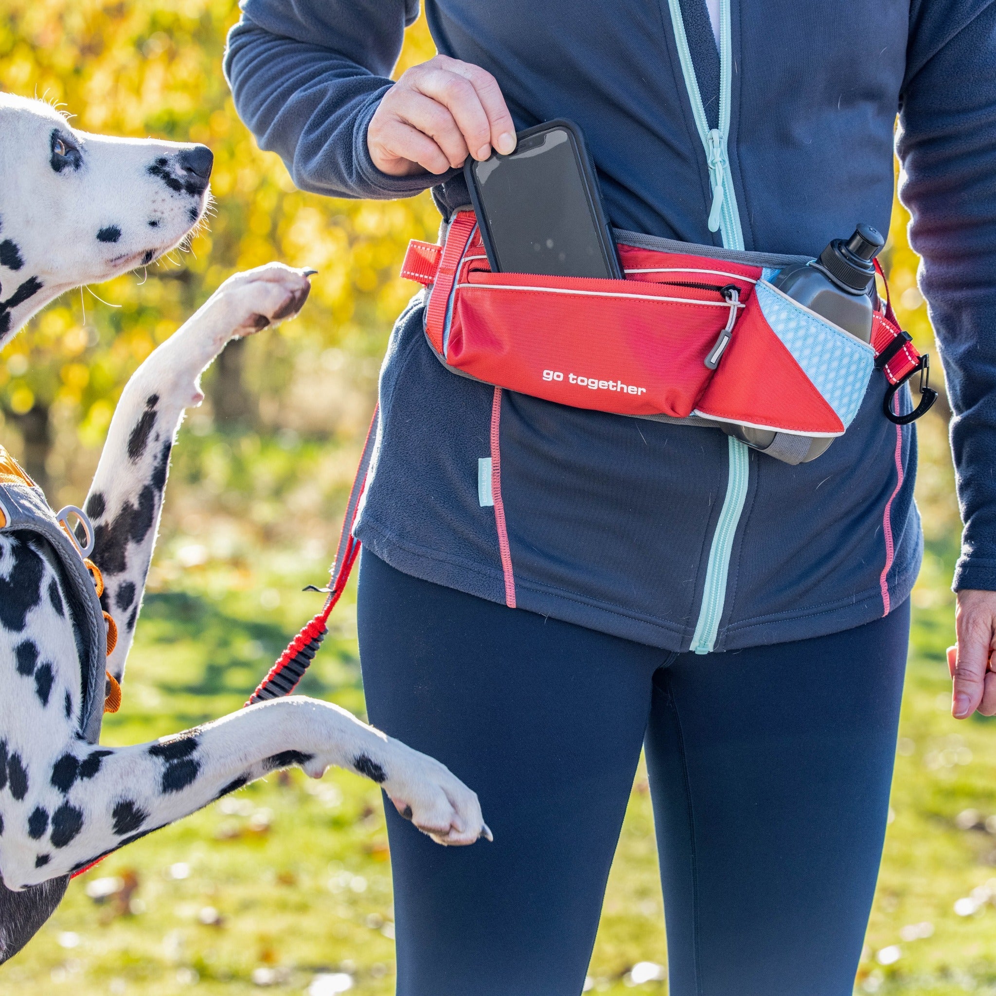 Kurgo On-Trail Running Belt, Laufgürtel - Woofshack