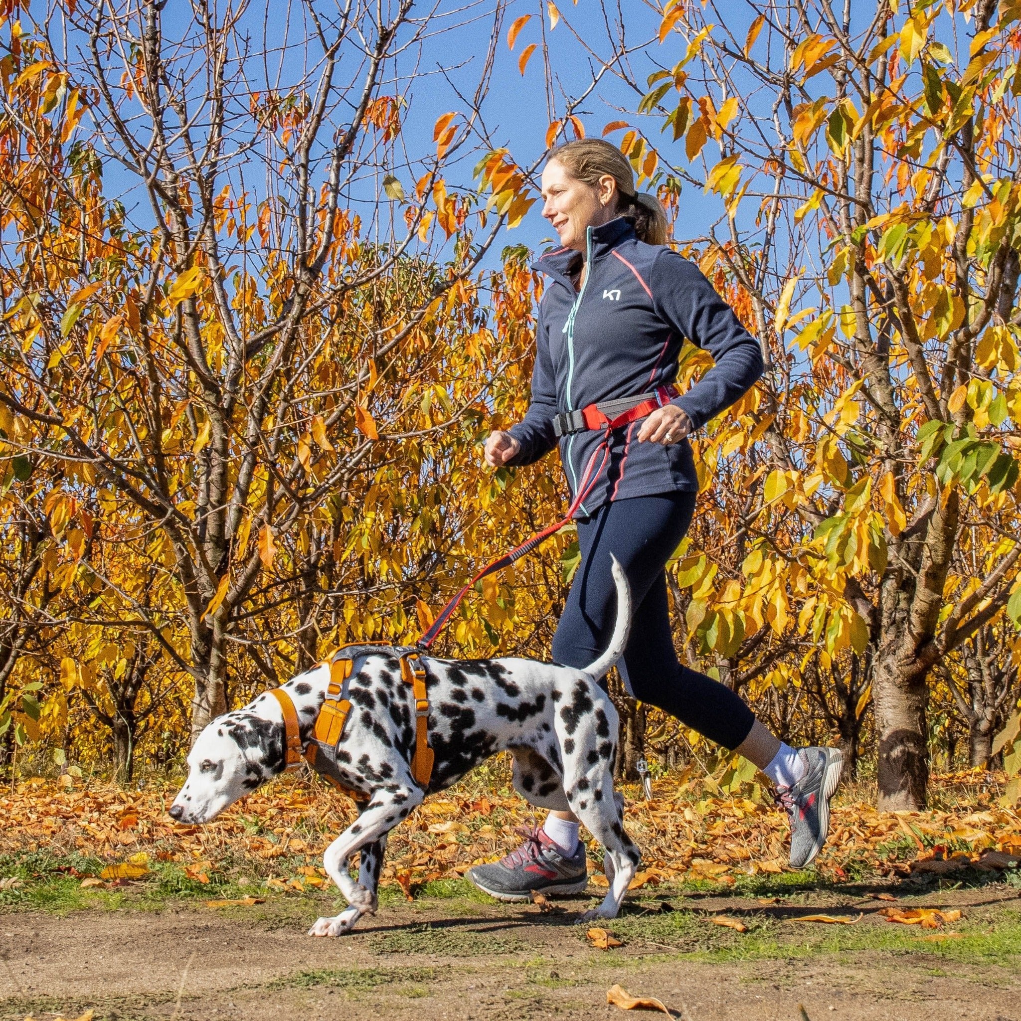 Kurgo On-Trail Running Belt, Laufgürtel - Woofshack