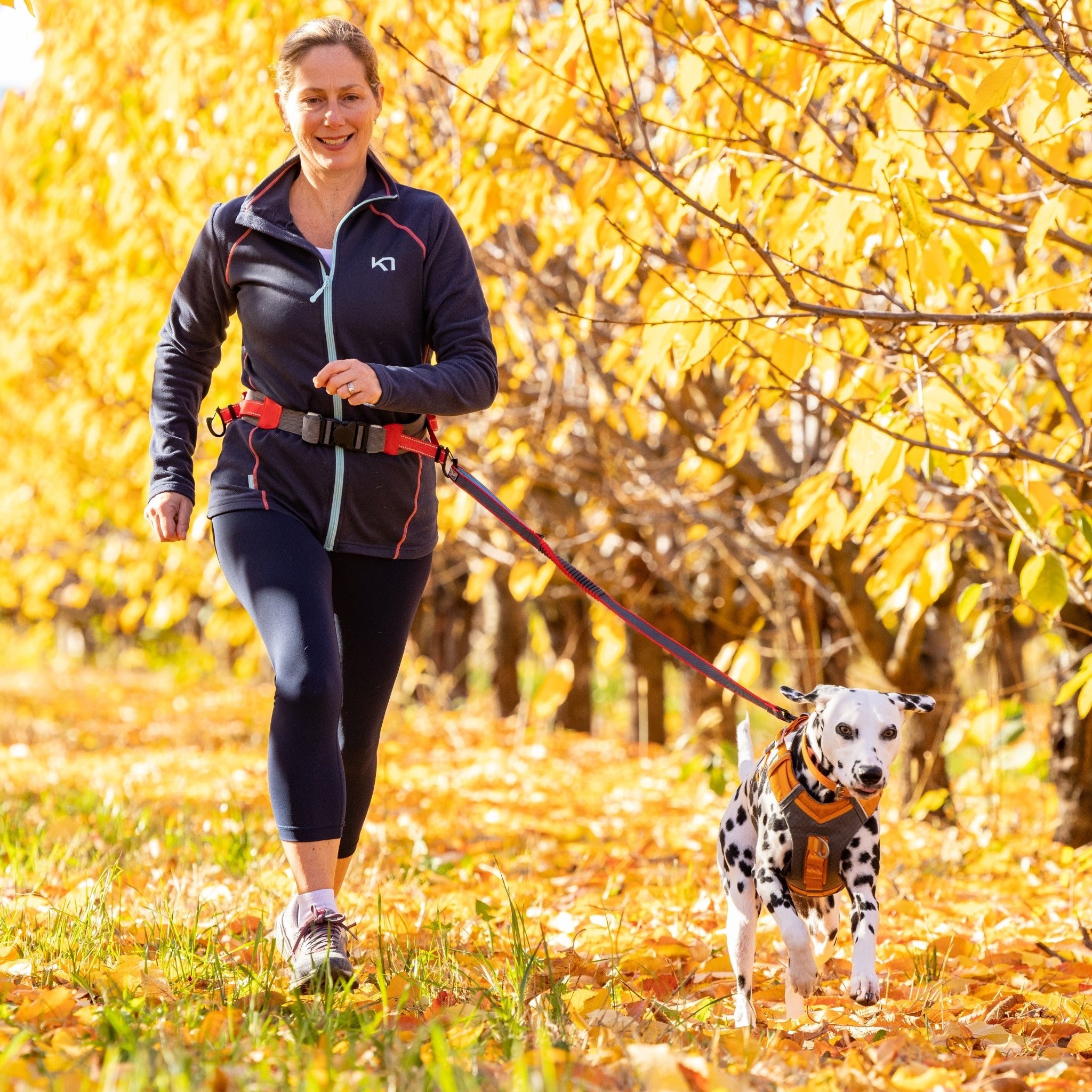 Kurgo On-Trail Running Belt, Laufgürtel - Woofshack