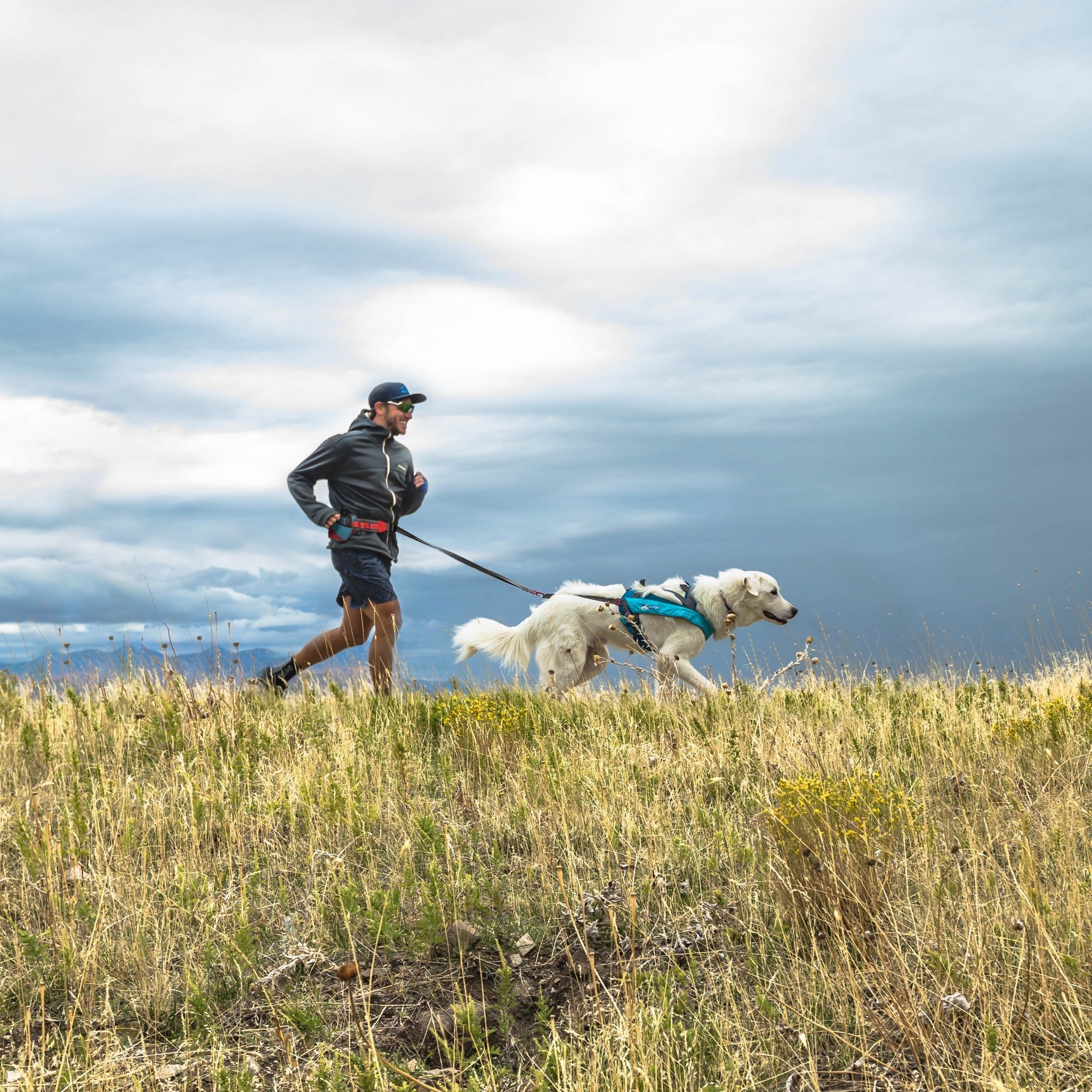 Kurgo On-Trail Running Belt, Laufgürtel - Woofshack