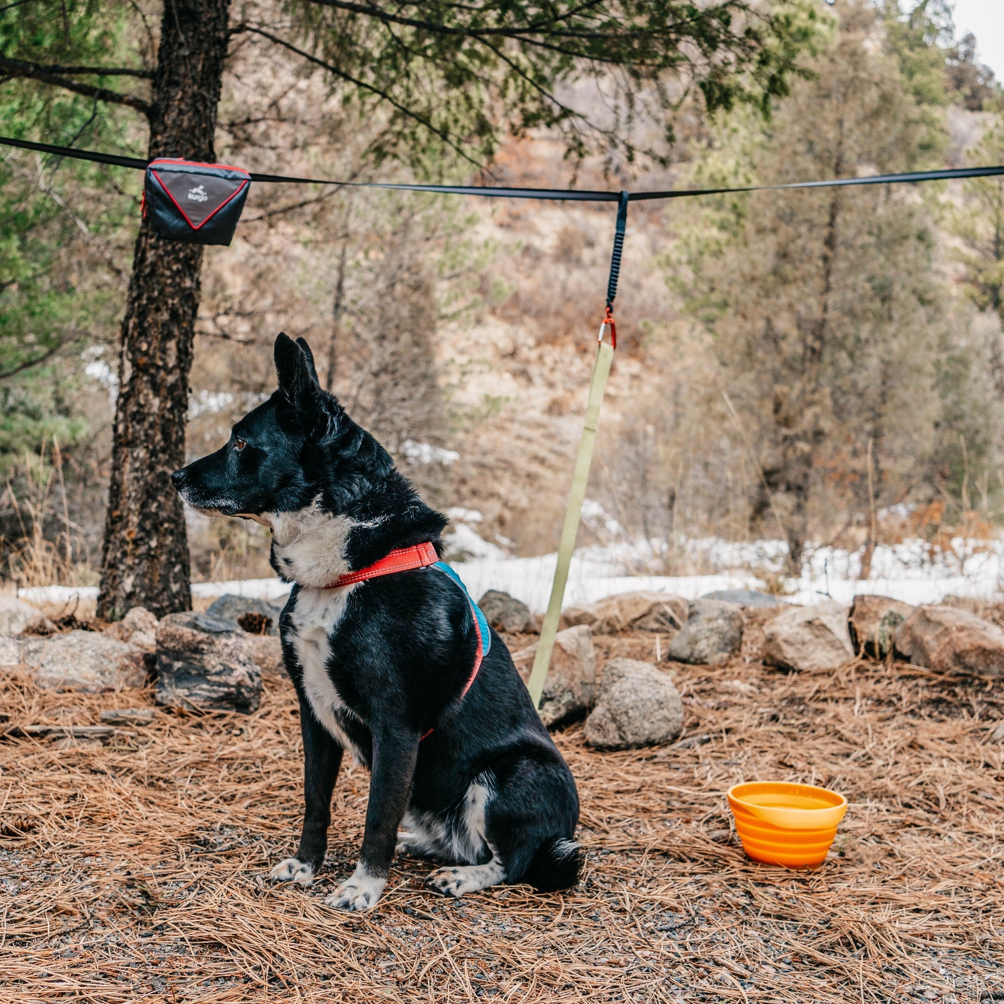 Kurgo Ridgeline Tie Out, Hundeanbindesystem - Woofshack