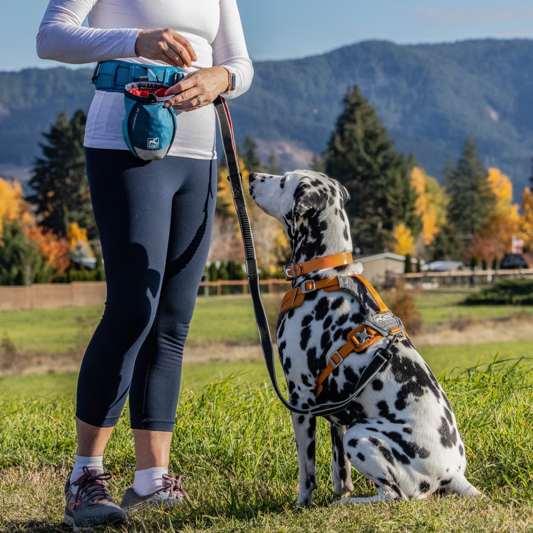 Kurgo On-Trail Running Belt, Hüftgurt mit Trinkflasche und zwei Leinenhaken