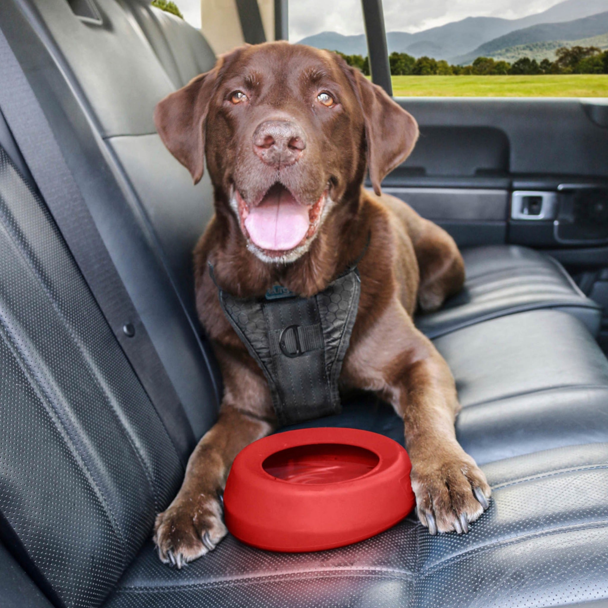 Kurgo Splash Free Wander Water Bowl, Hundenapf - Woofshack