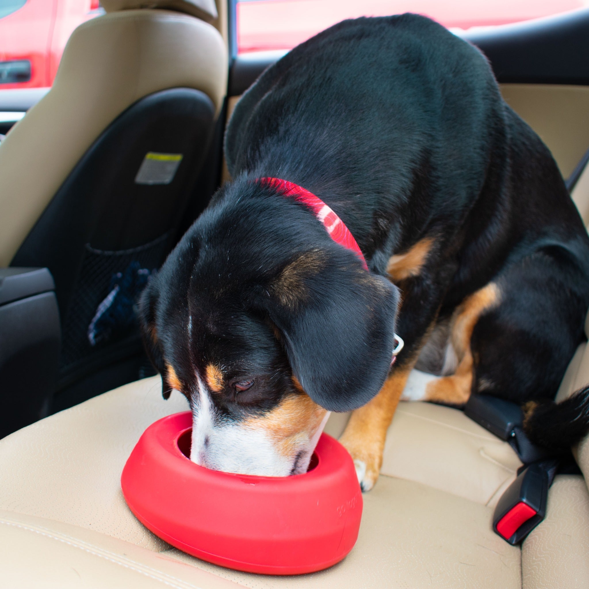 Kurgo Splash Free Wander Water Bowl, Hundenapf - Woofshack