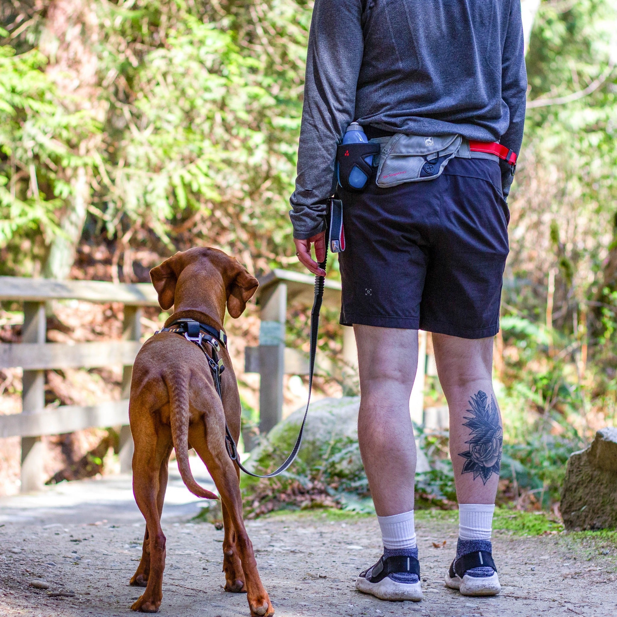 Kurgo Springback Leash, Hundeleine - Woofshack