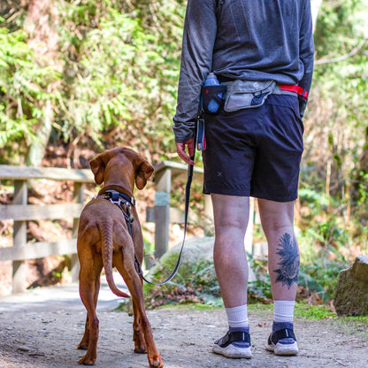 Kurgo Springback Leash, Hundeleine - Woofshack
