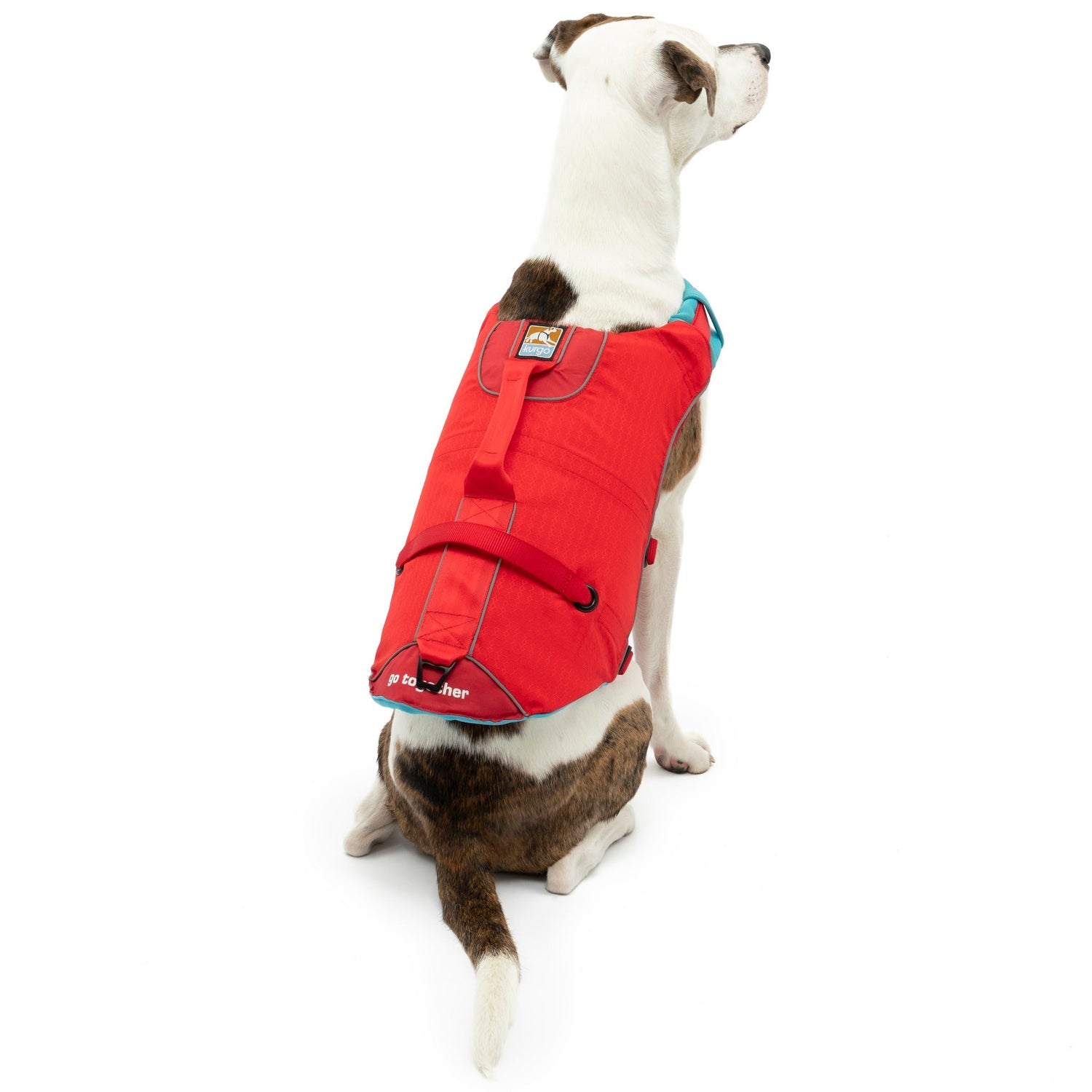 Kurgo Surf N Turf, Hundeschwimmweste - Woofshack