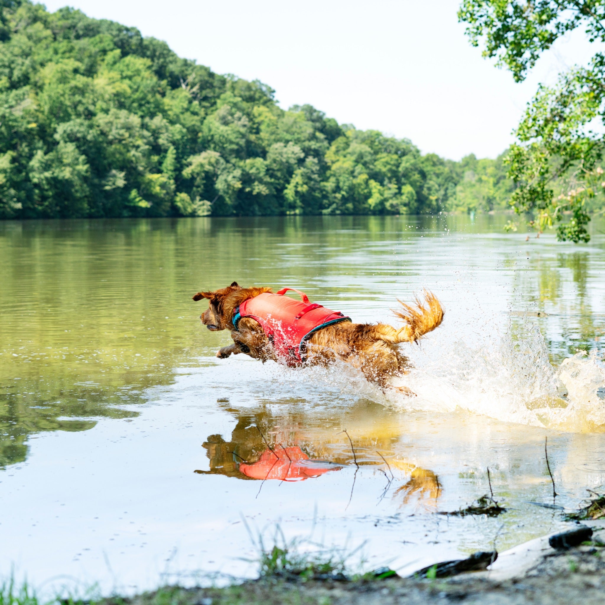 Kurgo Surf N Turf, Hundeschwimmweste - Woofshack