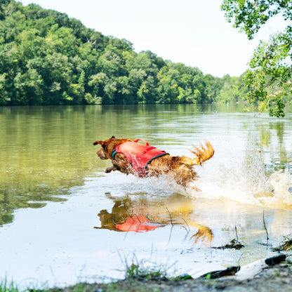 Kurgo Surf N Turf, Hundeschwimmweste - Woofshack