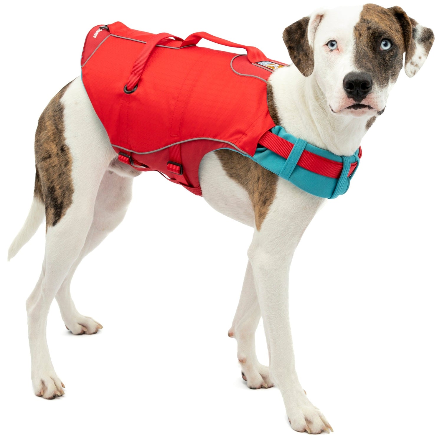 Kurgo Surf N Turf, Hundeschwimmweste - Woofshack