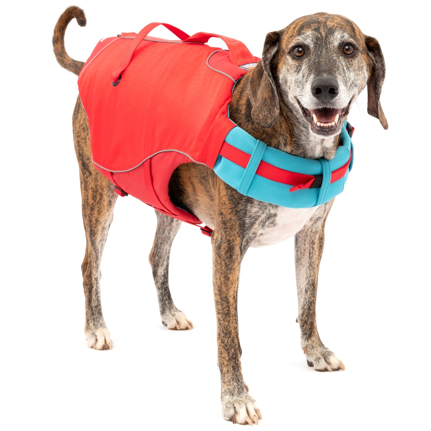 Kurgo Surf N Turf, Hundeschwimmweste - Woofshack