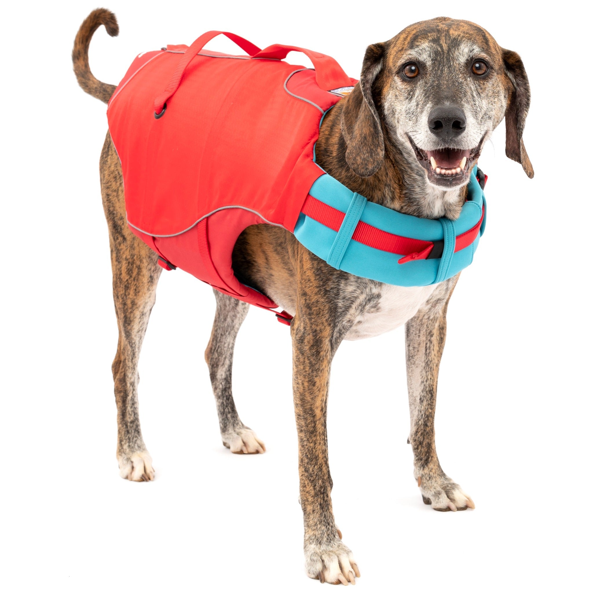 Kurgo Surf N Turf, Hundeschwimmweste - Woofshack