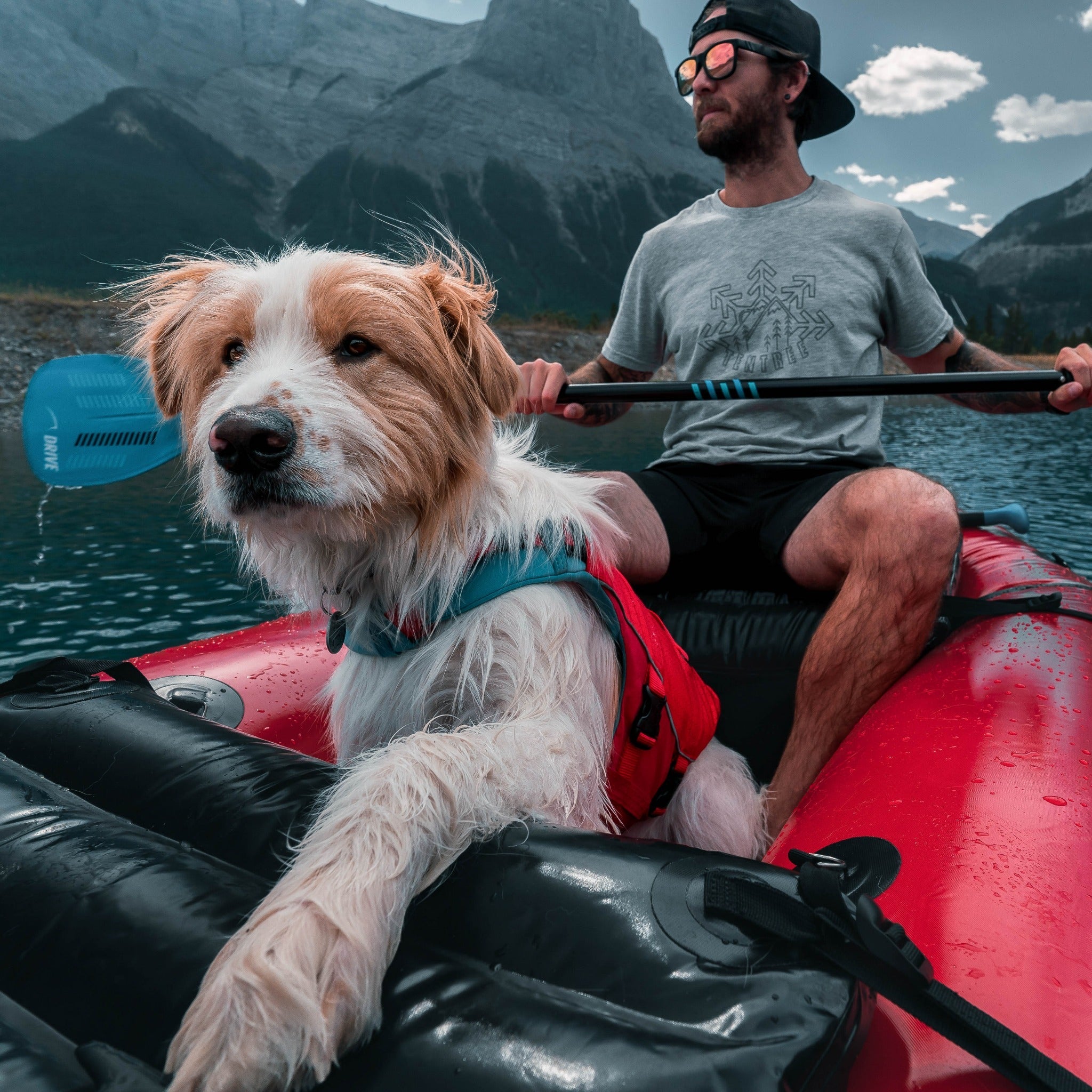 Kurgo Surf N Turf, Hundeschwimmweste - Woofshack