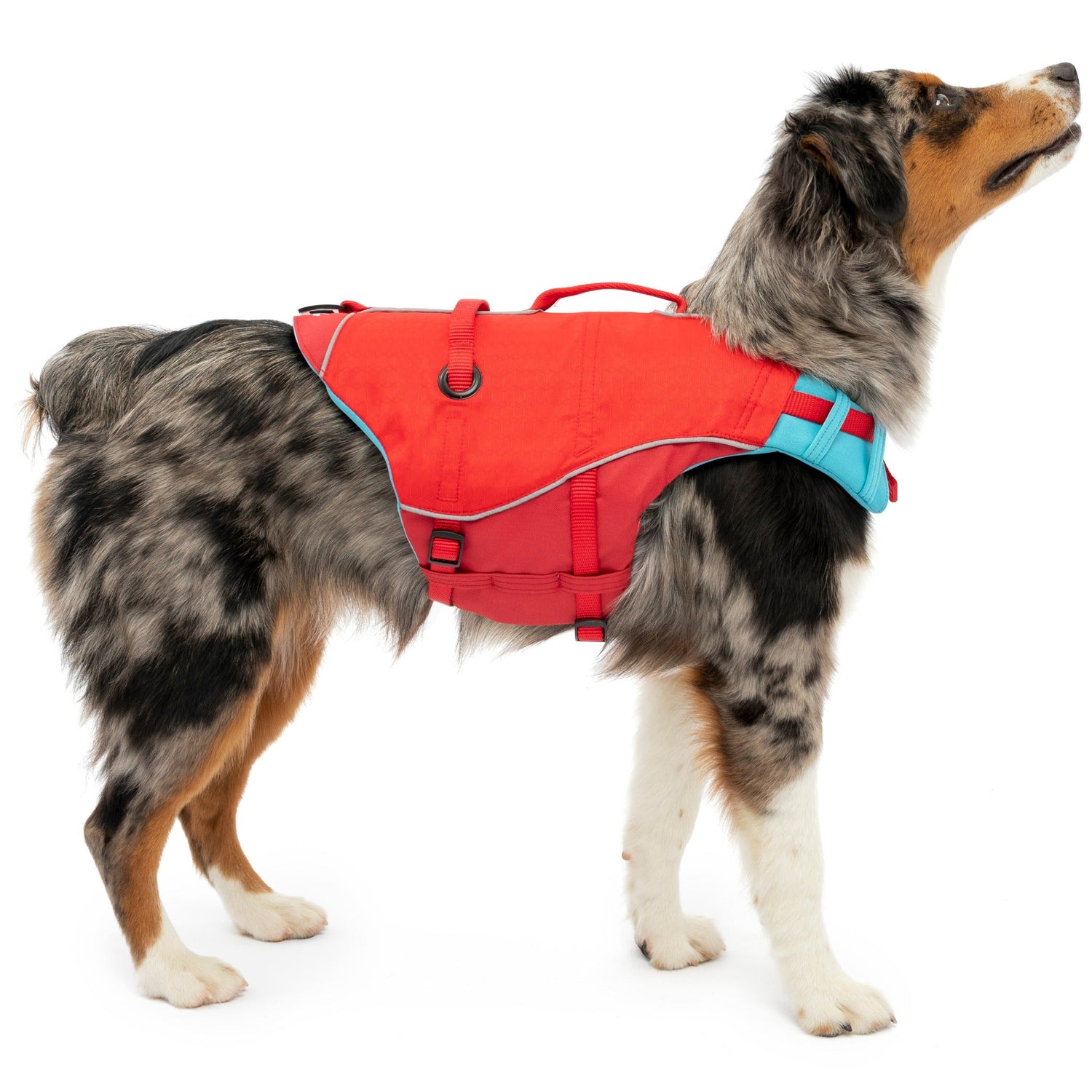 Kurgo Surf N Turf, Hundeschwimmweste - Woofshack