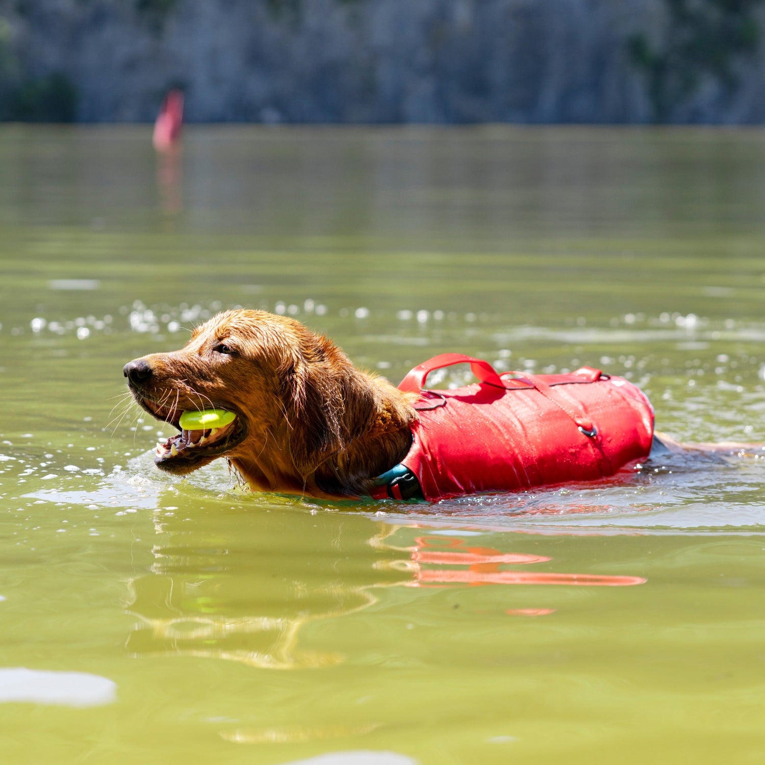 Kurgo Surf N Turf, Hundeschwimmweste - Woofshack