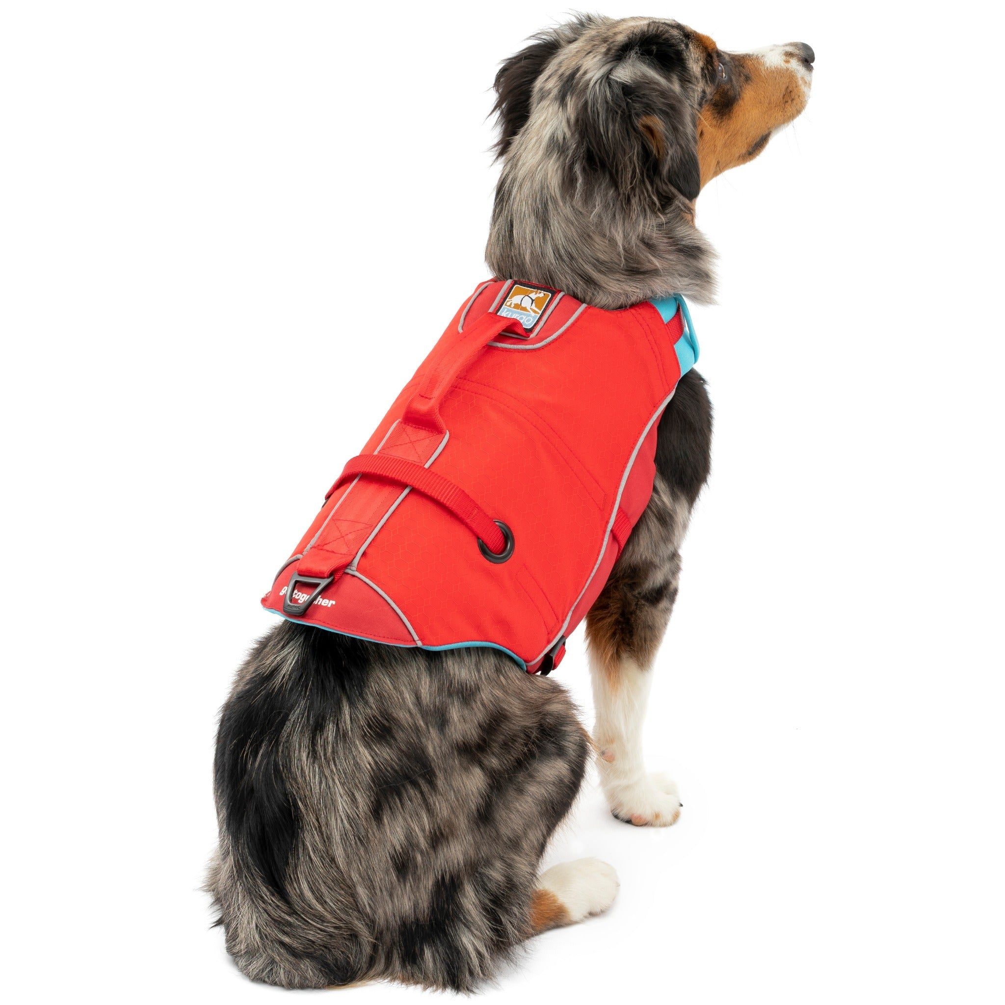 Kurgo Surf N Turf, Hundeschwimmweste - Woofshack