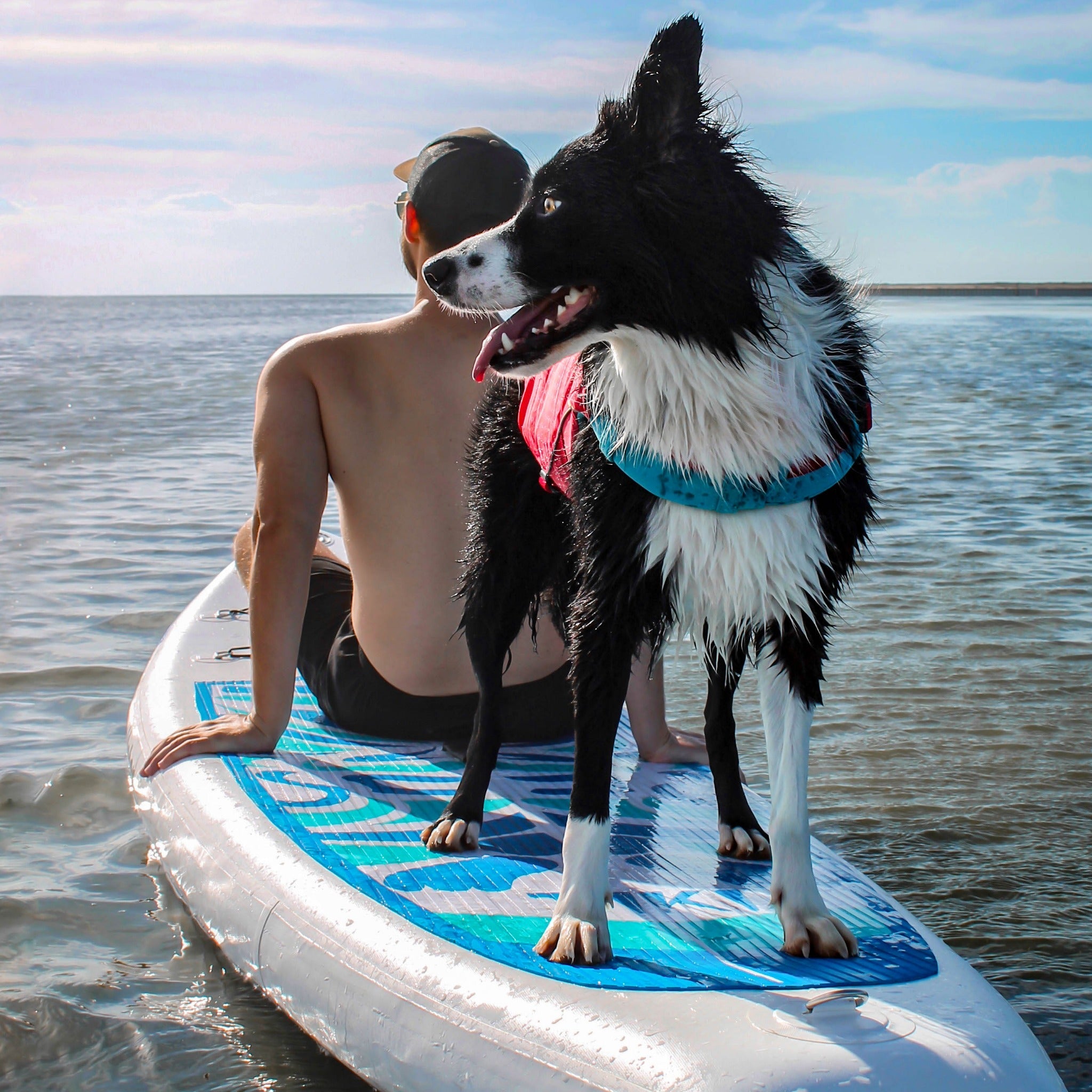 Kurgo Surf N Turf, Hundeschwimmweste - Woofshack