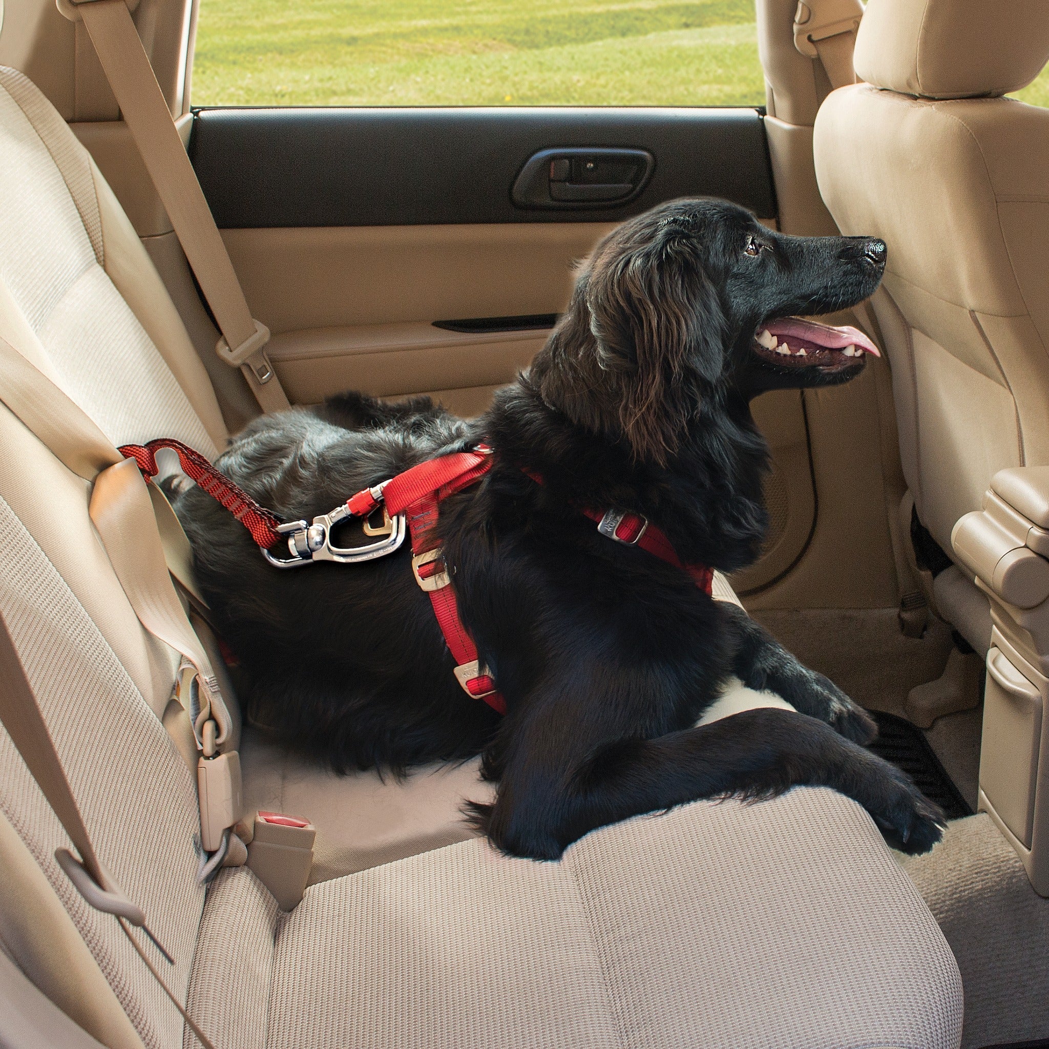 Kurgo Swivel Tether, Hundeautogurt - Woofshack
