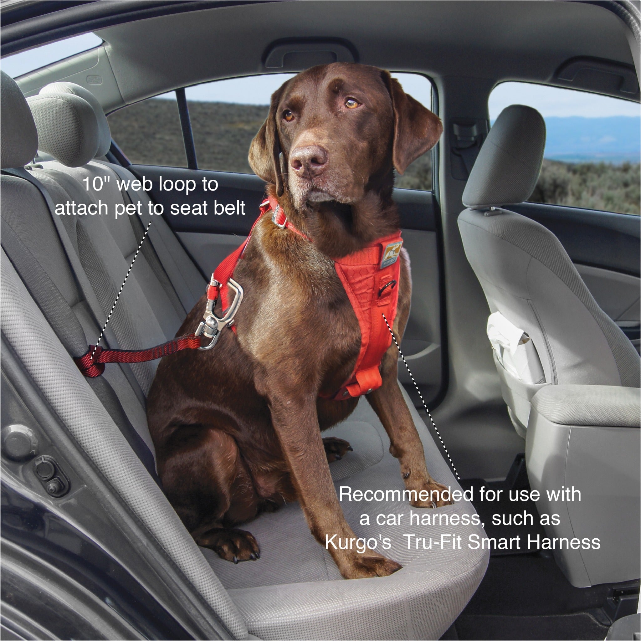 Kurgo Swivel Tether, Hundeautogurt - Woofshack