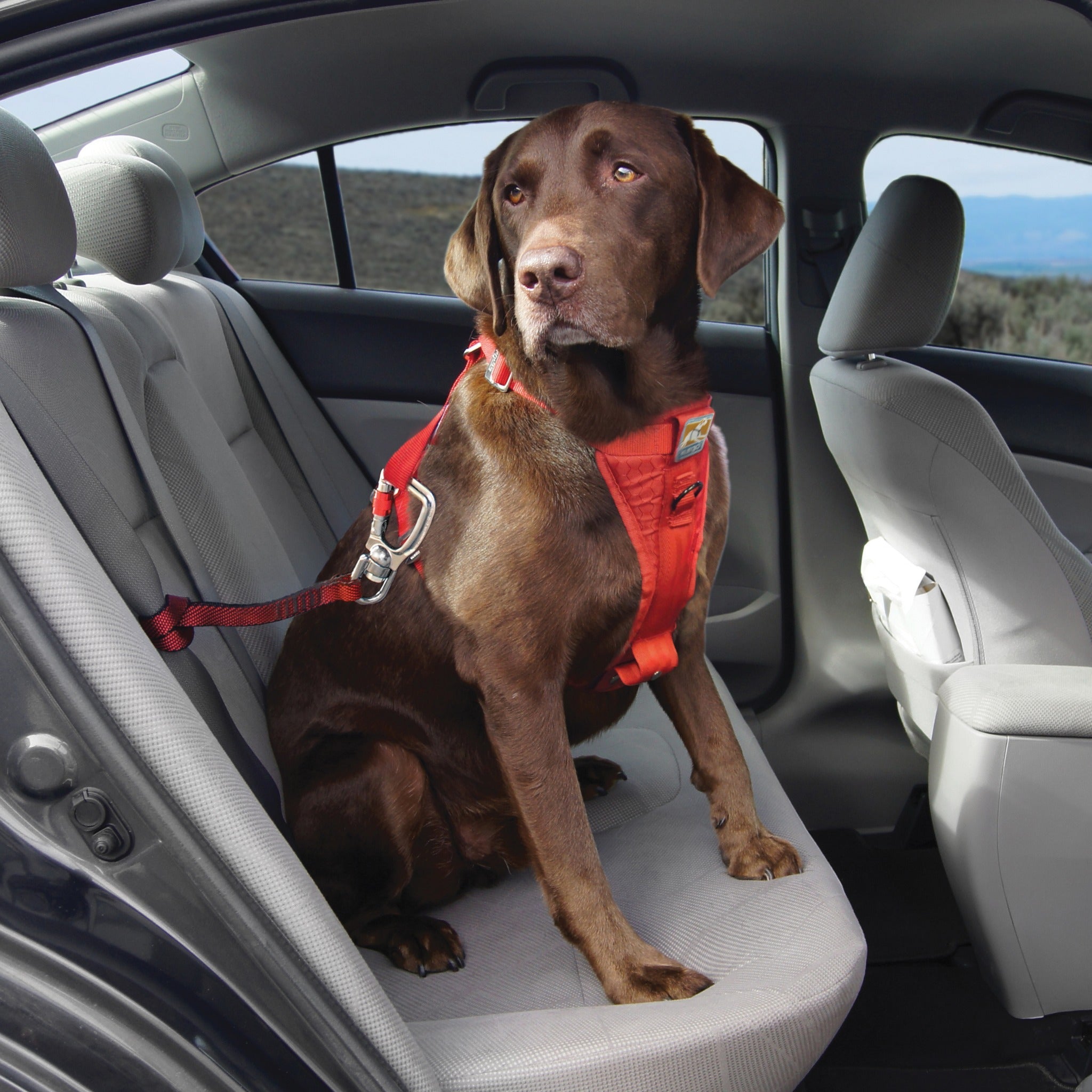 Kurgo Swivel Tether, Hundeautogurt - Woofshack