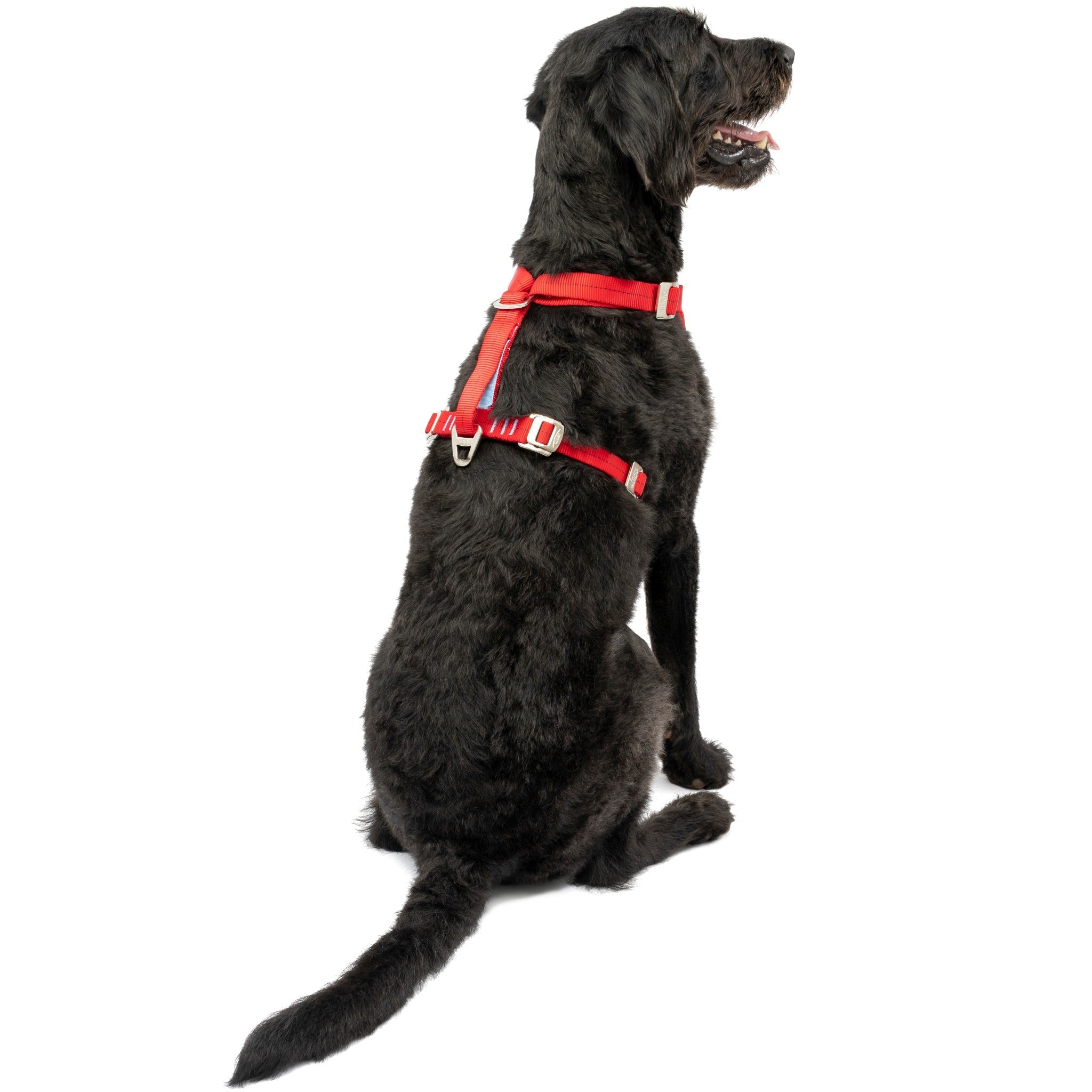 Kurgo Tru Fit Harness harnais pour chien
