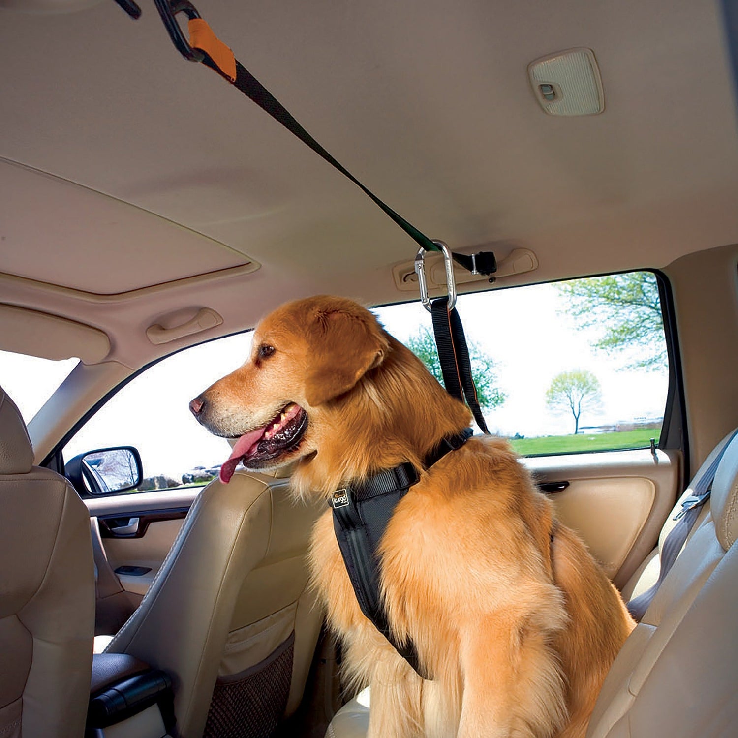 Kurgo Zip Line, Autosicherheitsgurt für Hunde