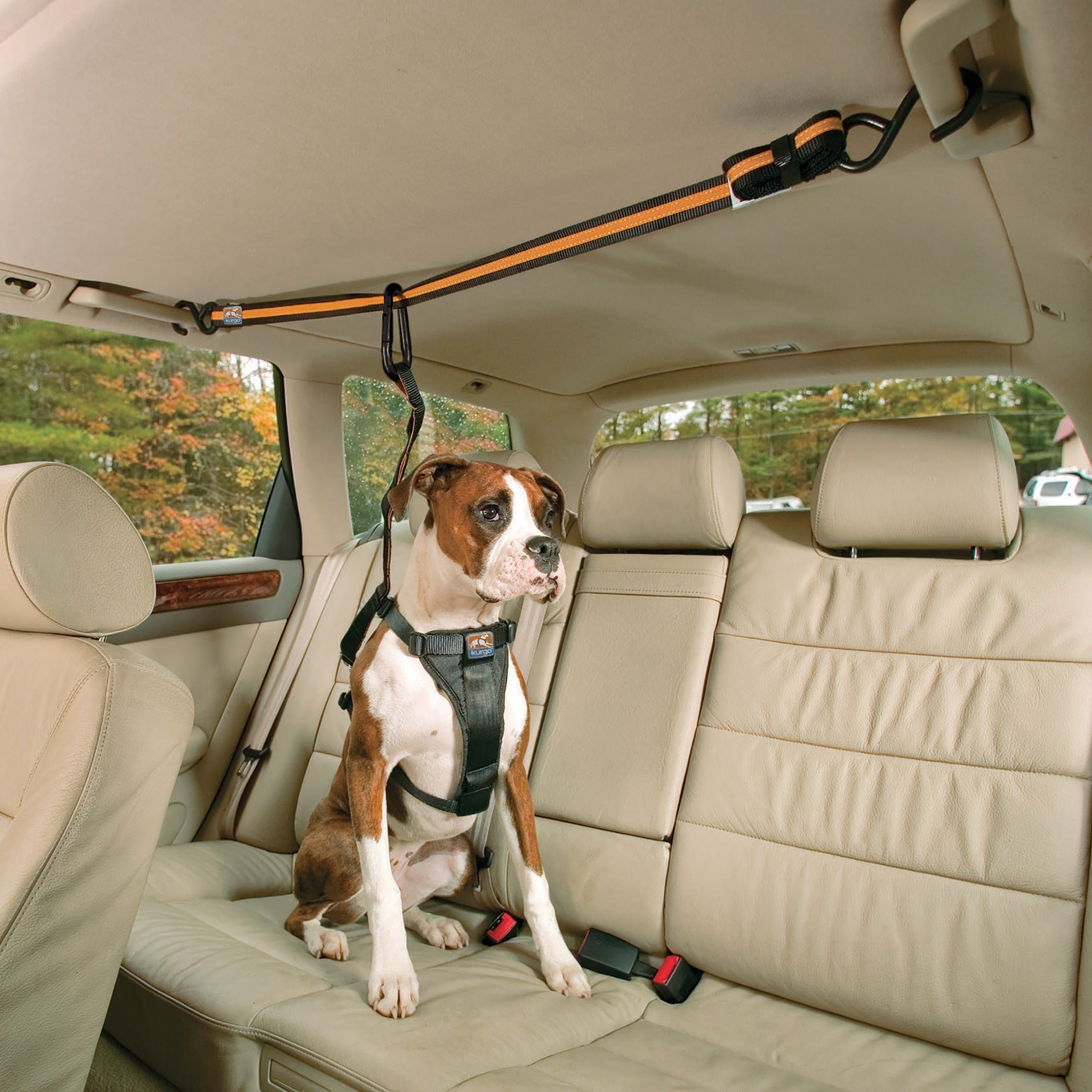 Kurgo Zip Line, ceinture de sécurité pour chiens en voiture