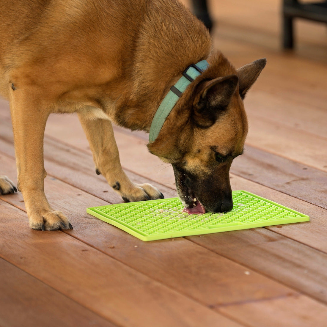 LickiMat Classic Buddy Large, Schleckmatte für Hunde - Woofshack
