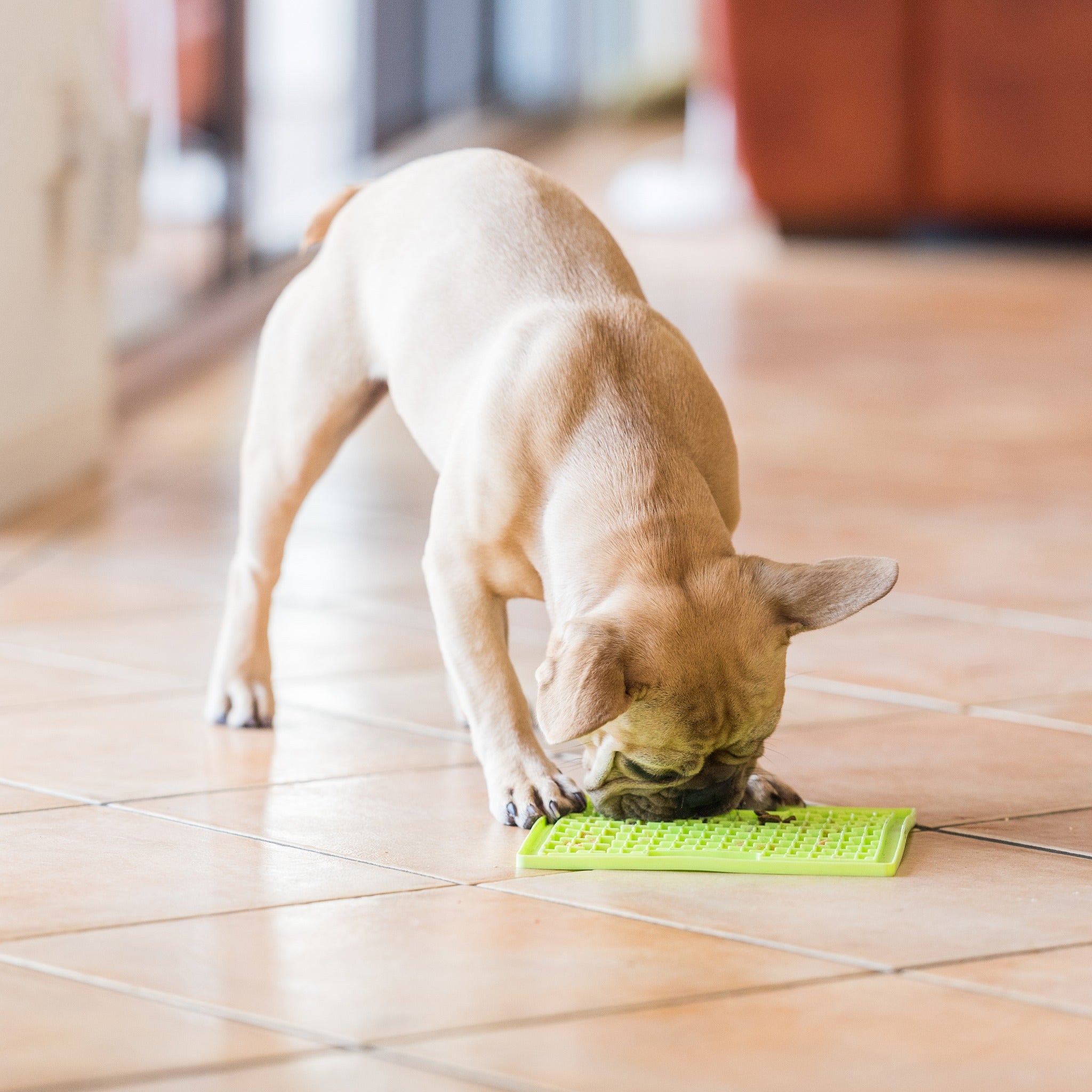 LickiMat Classic Buddy, Schleckmatte für Hunde - Woofshack