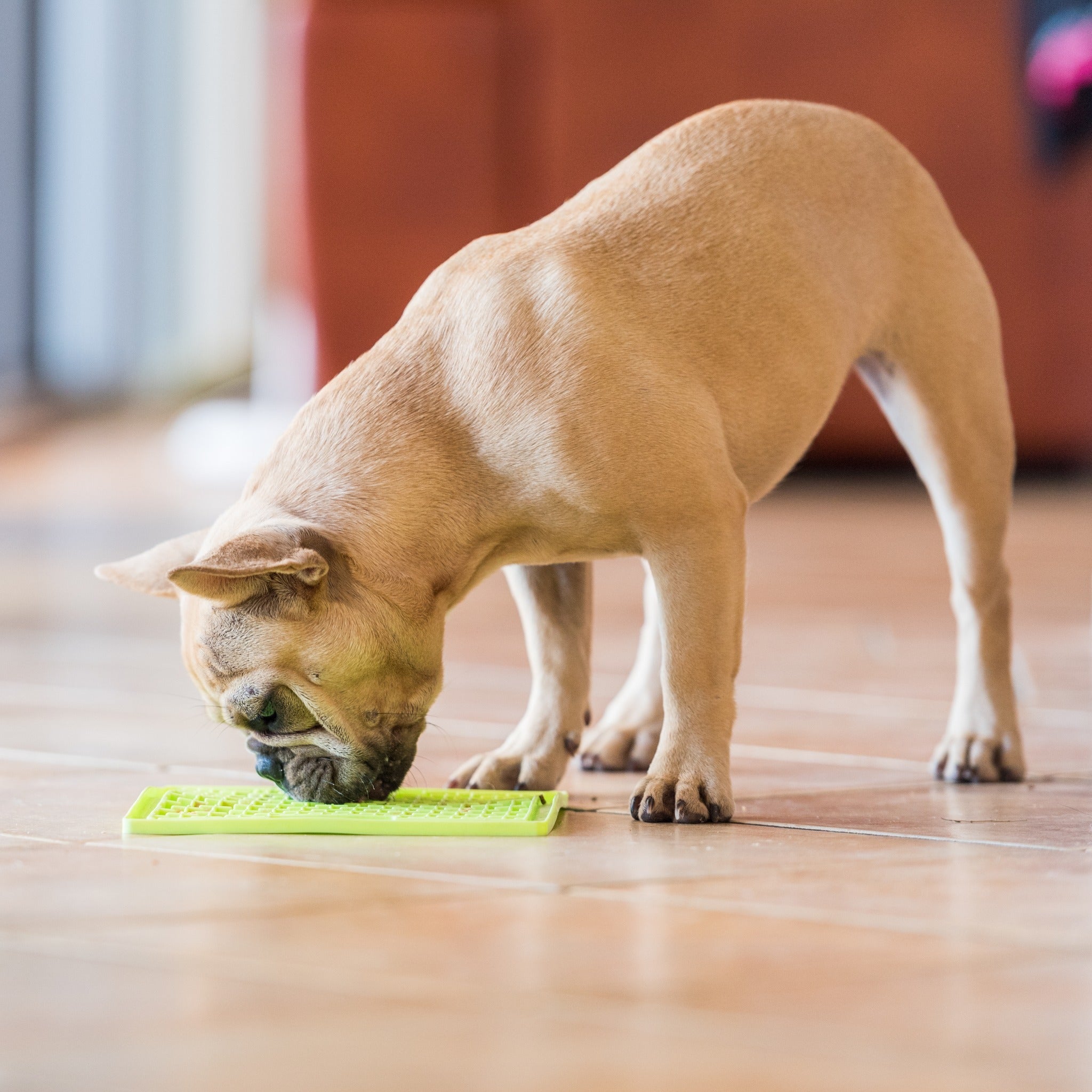 LickiMat Classic Buddy, Schleckmatte für Hunde - Woofshack