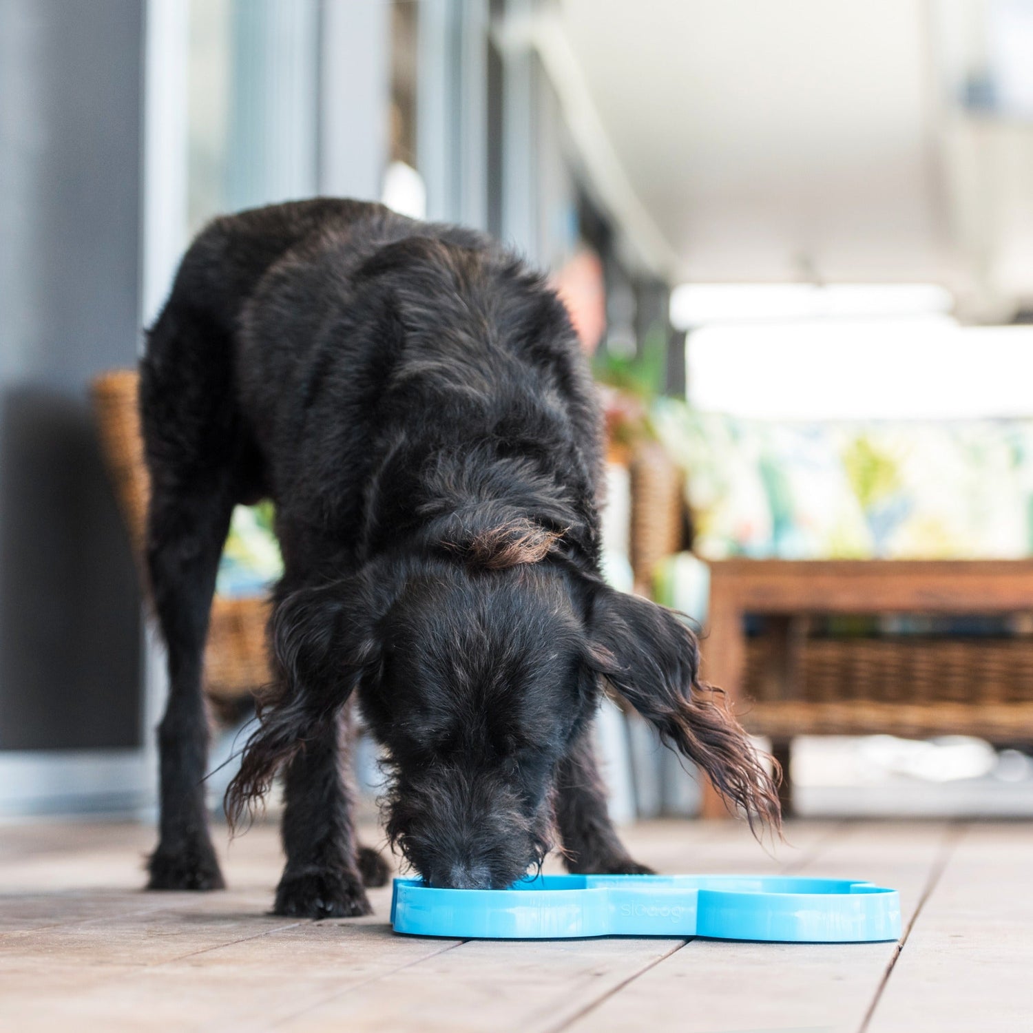 LickiMat Slodog, Anti-Schling Napf - Woofshack