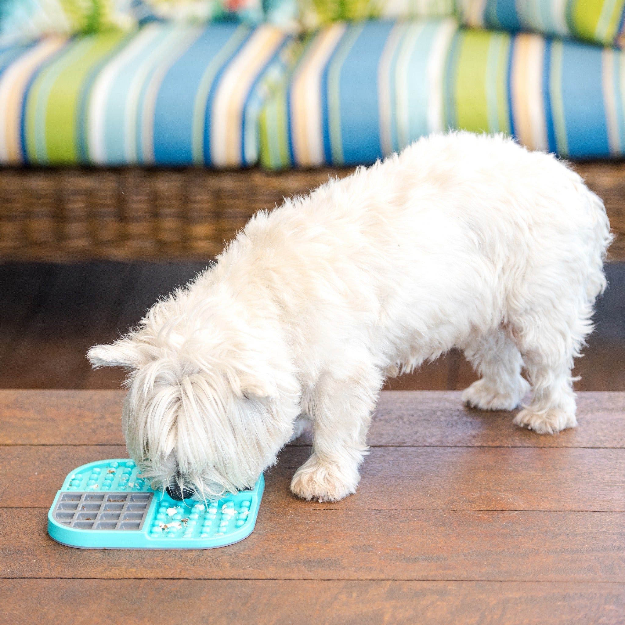 LickiMat Slomo, Schleckmatte für Hunde - Woofshack