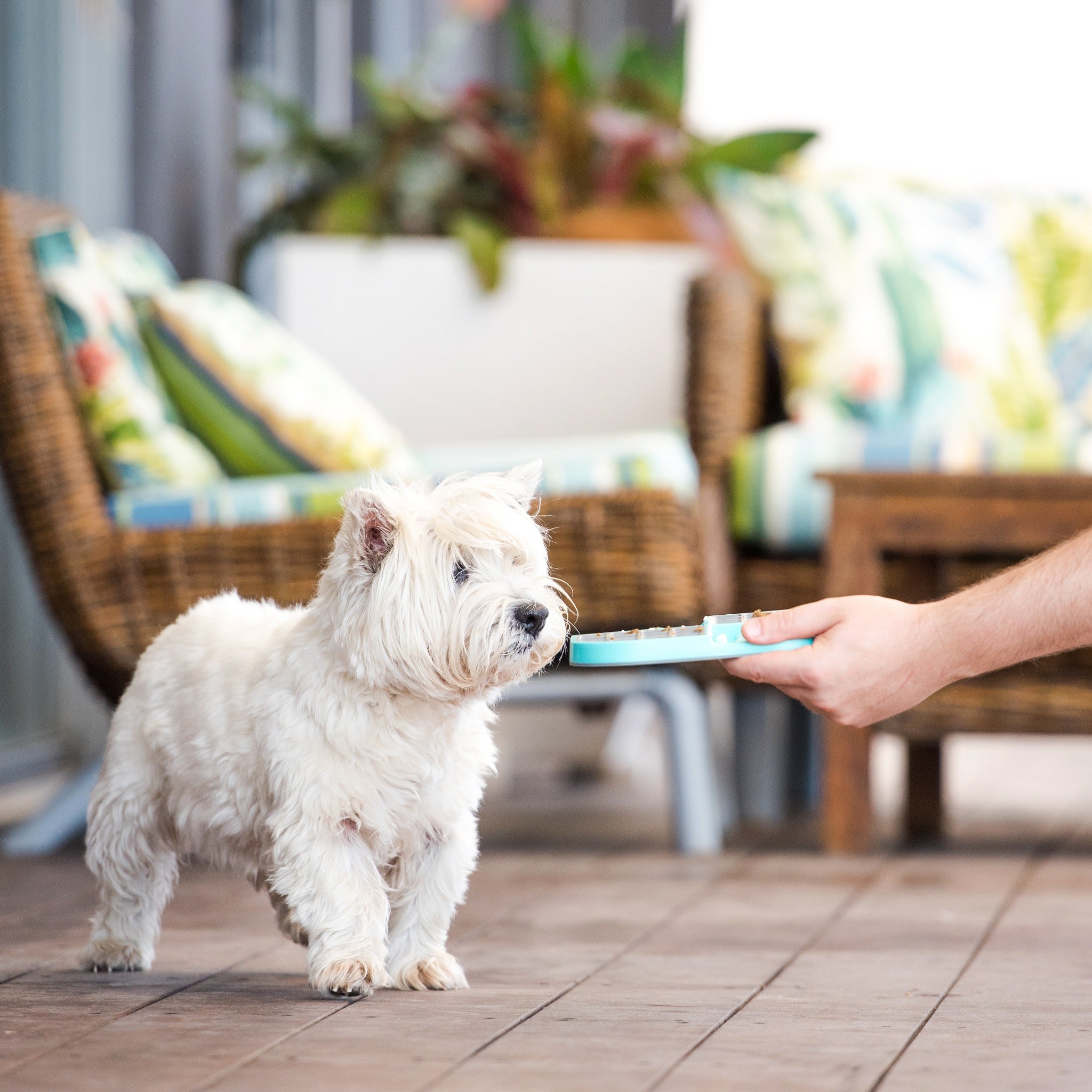 LickiMat Slomo, Schleckmatte für Hunde - Woofshack