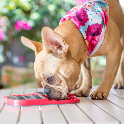 LickiMat Slomo, Schleckmatte für Hunde - Woofshack