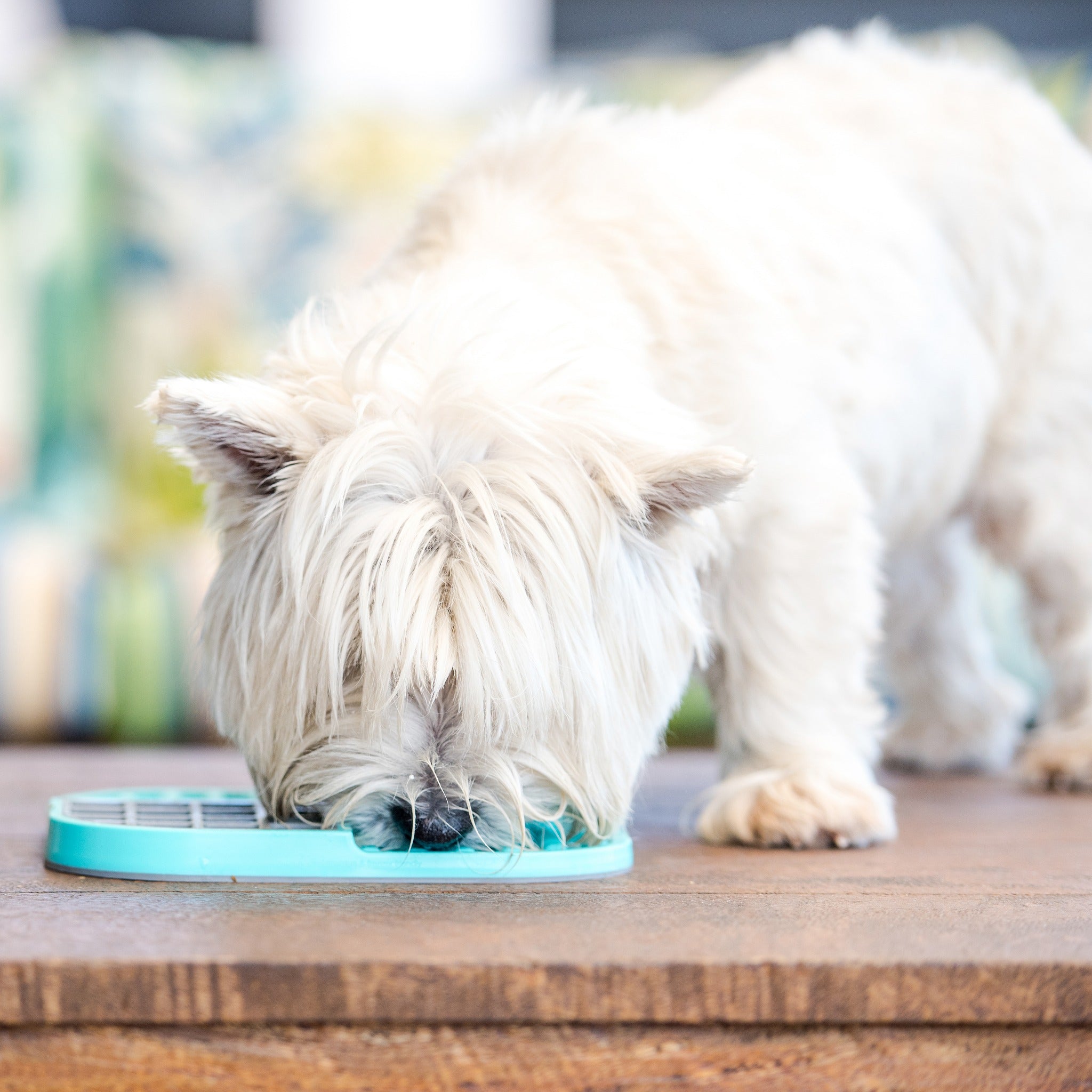 LickiMat Slomo, Schleckmatte für Hunde - Woofshack