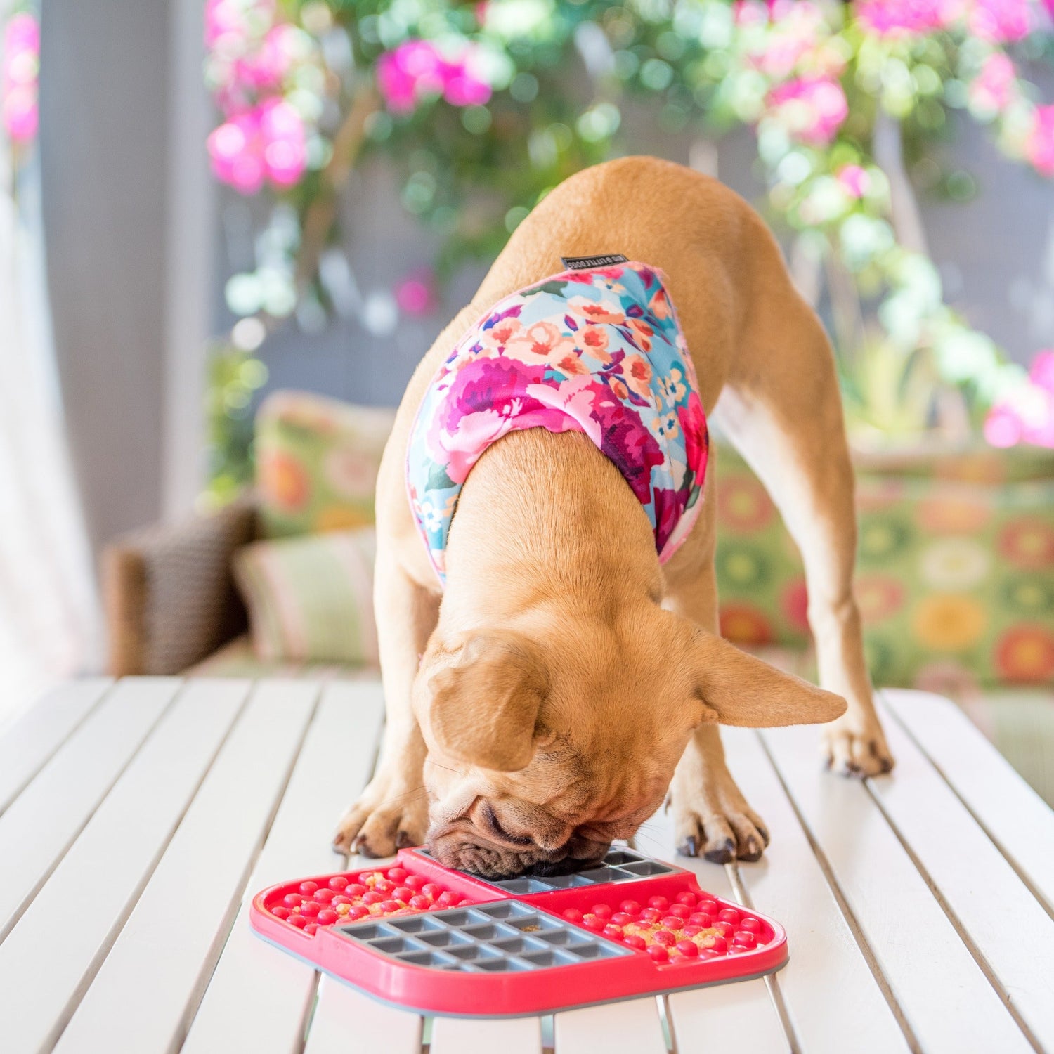 LickiMat Slomo, Schleckmatte für Hunde - Woofshack