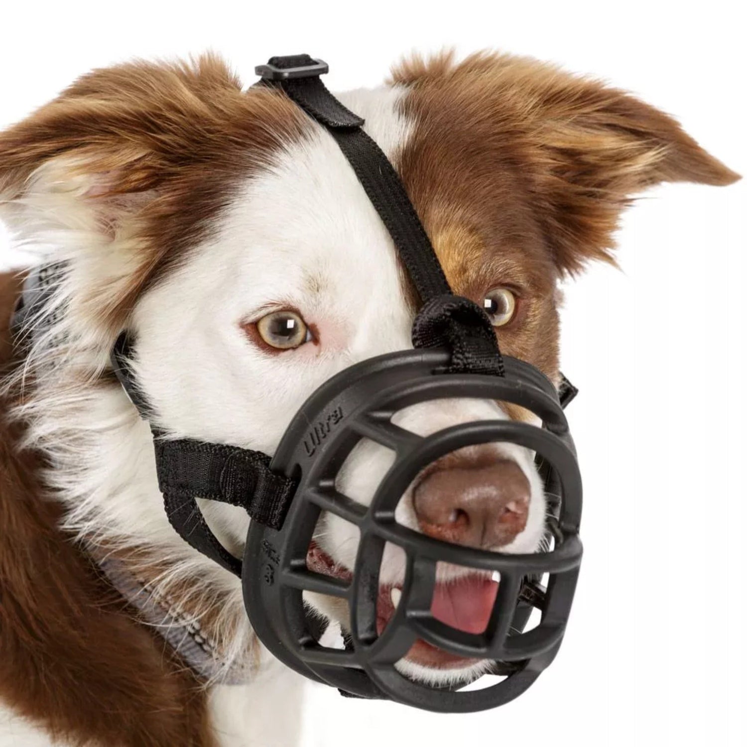Maulkorb Baskerville Ultra Muzzle - Woofshack