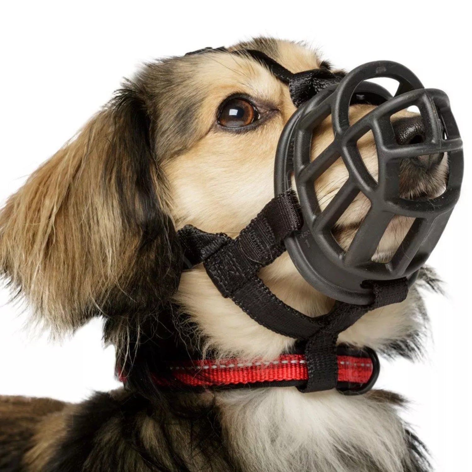 Maulkorb Baskerville Ultra Muzzle - Woofshack
