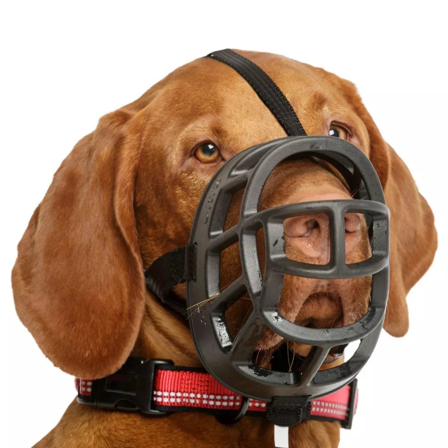 Maulkorb Baskerville Ultra Muzzle - Woofshack
