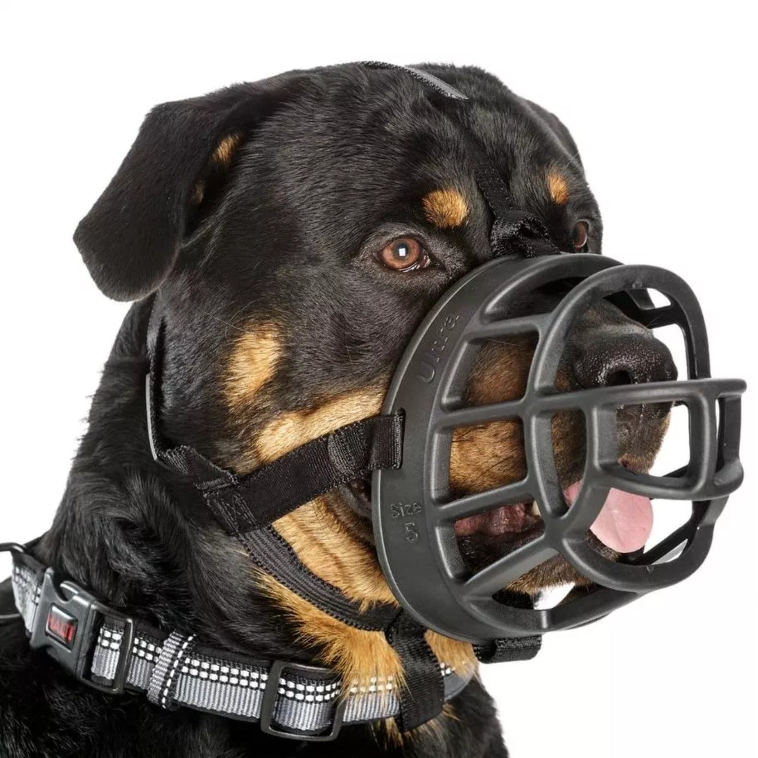 Maulkorb Baskerville Ultra Muzzle - Woofshack