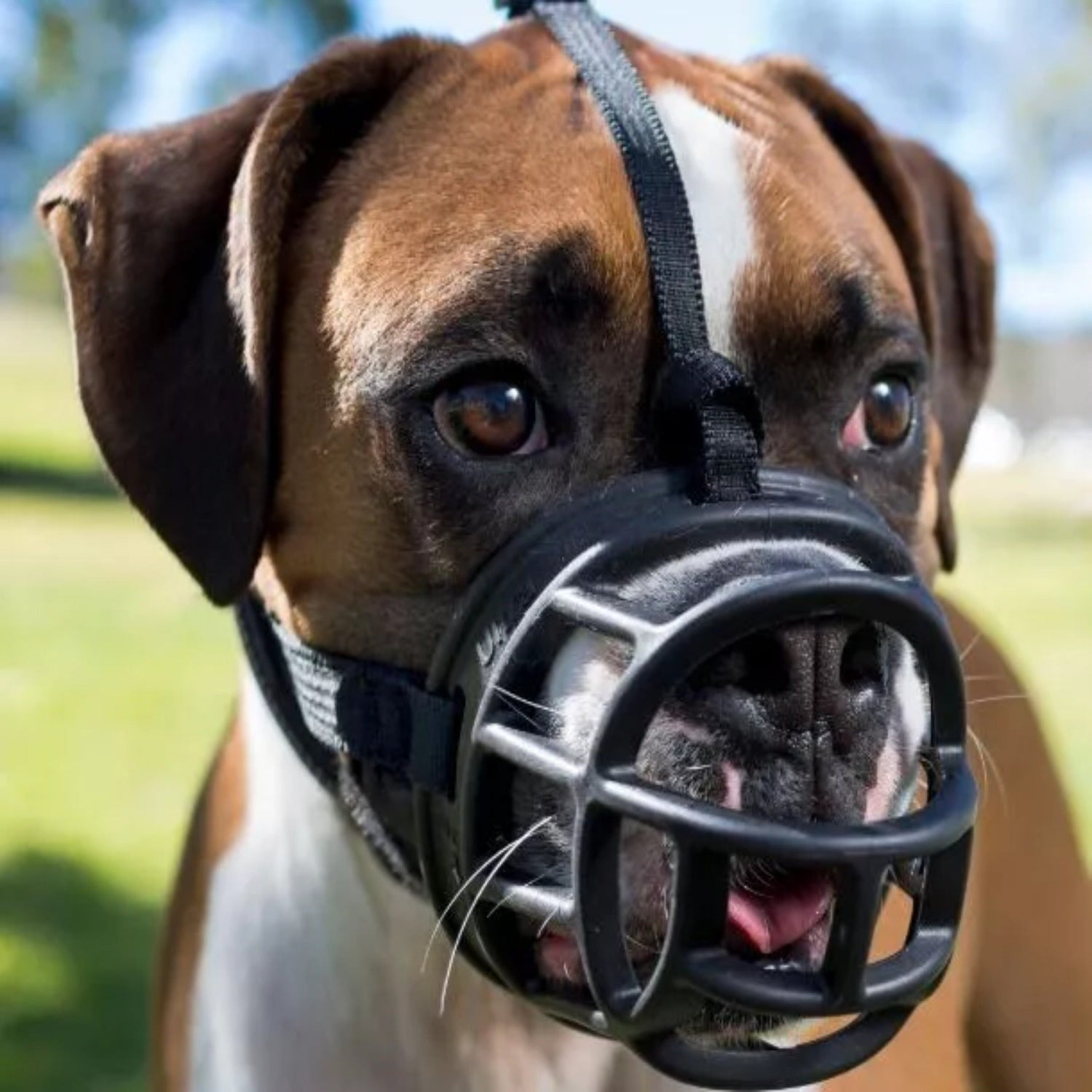 Maulkorb Baskerville Ultra Muzzle - Woofshack