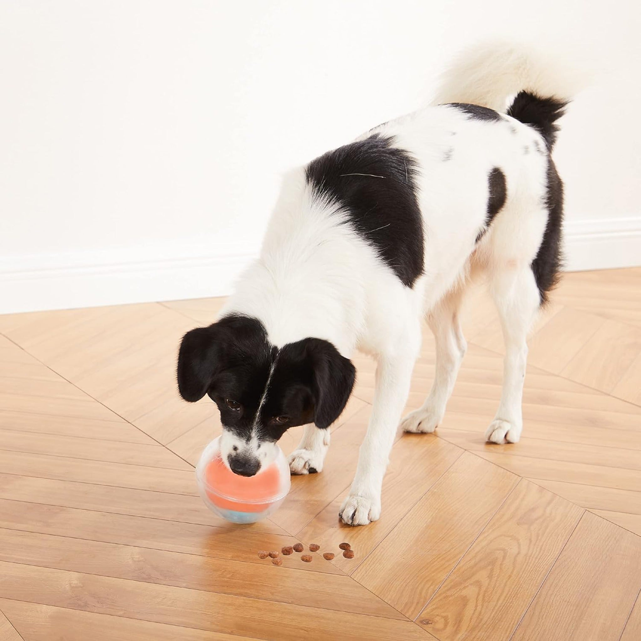 Nina Ottosson Dog Rumble Puzzle, Intelligenzspielzeug - Woofshack