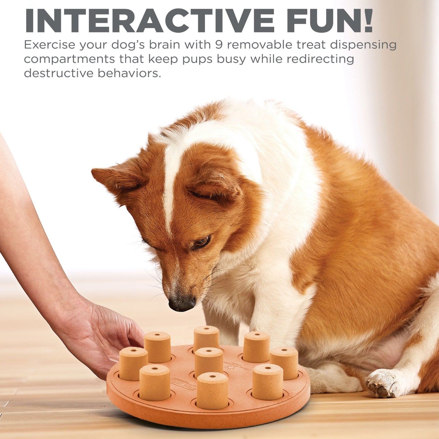Nina Ottosson Dog Smart - Composite, Intelligenzspielzeug - Woofshack