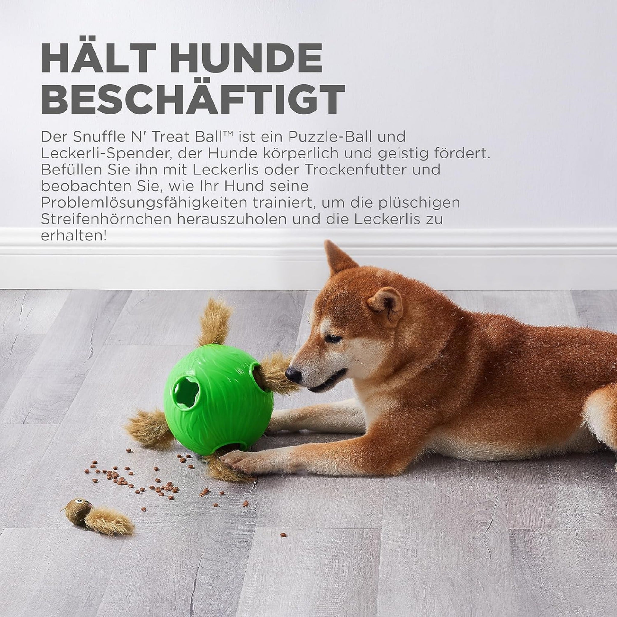 Nina Ottosson Dog Snuffle N&