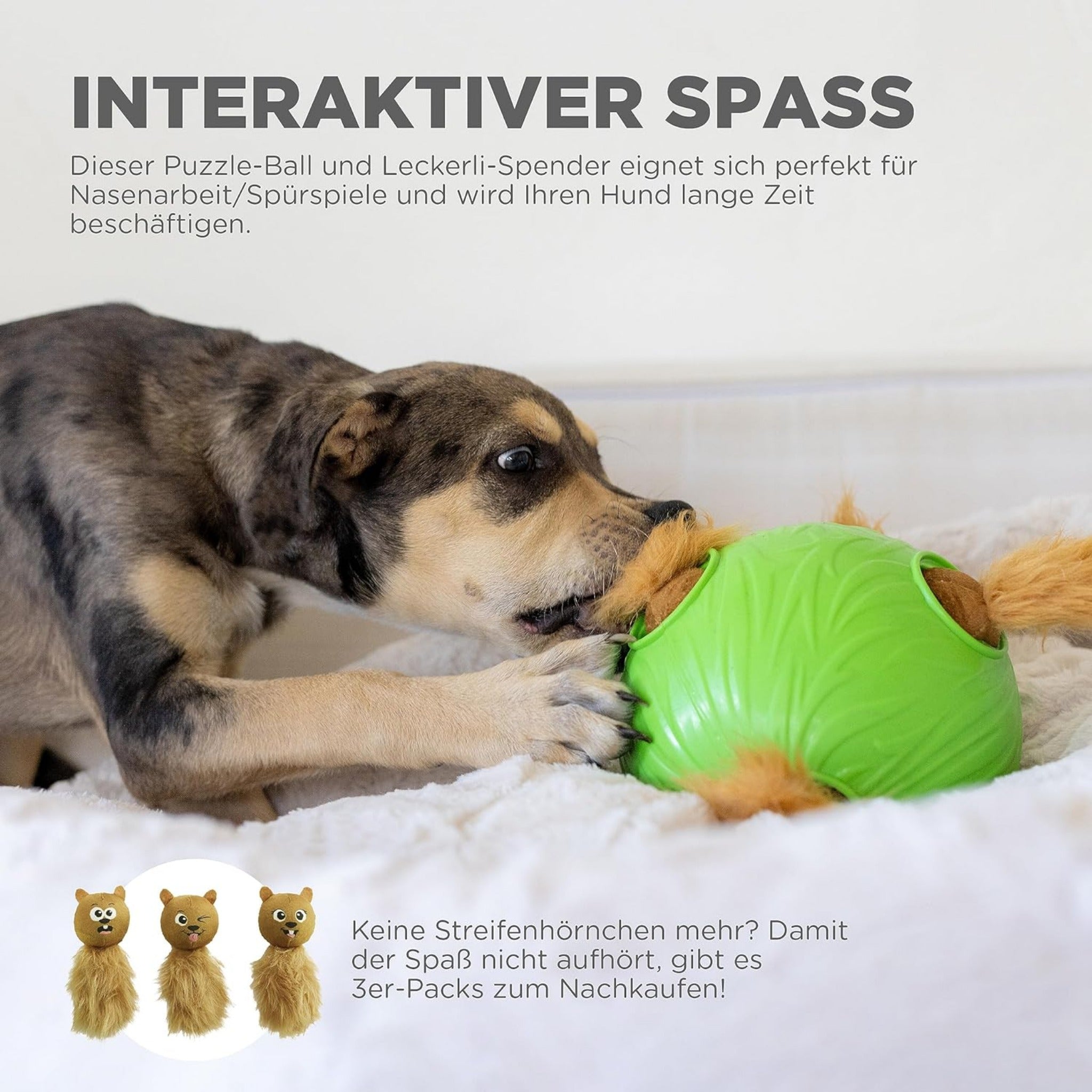 Nina Ottosson Dog Snuffle N&