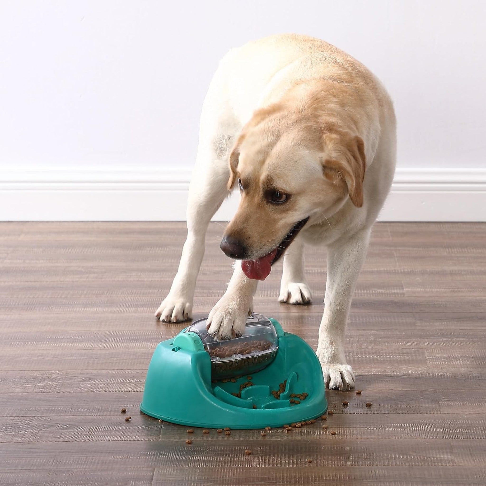 Nina Ottosson Dog Spin N&