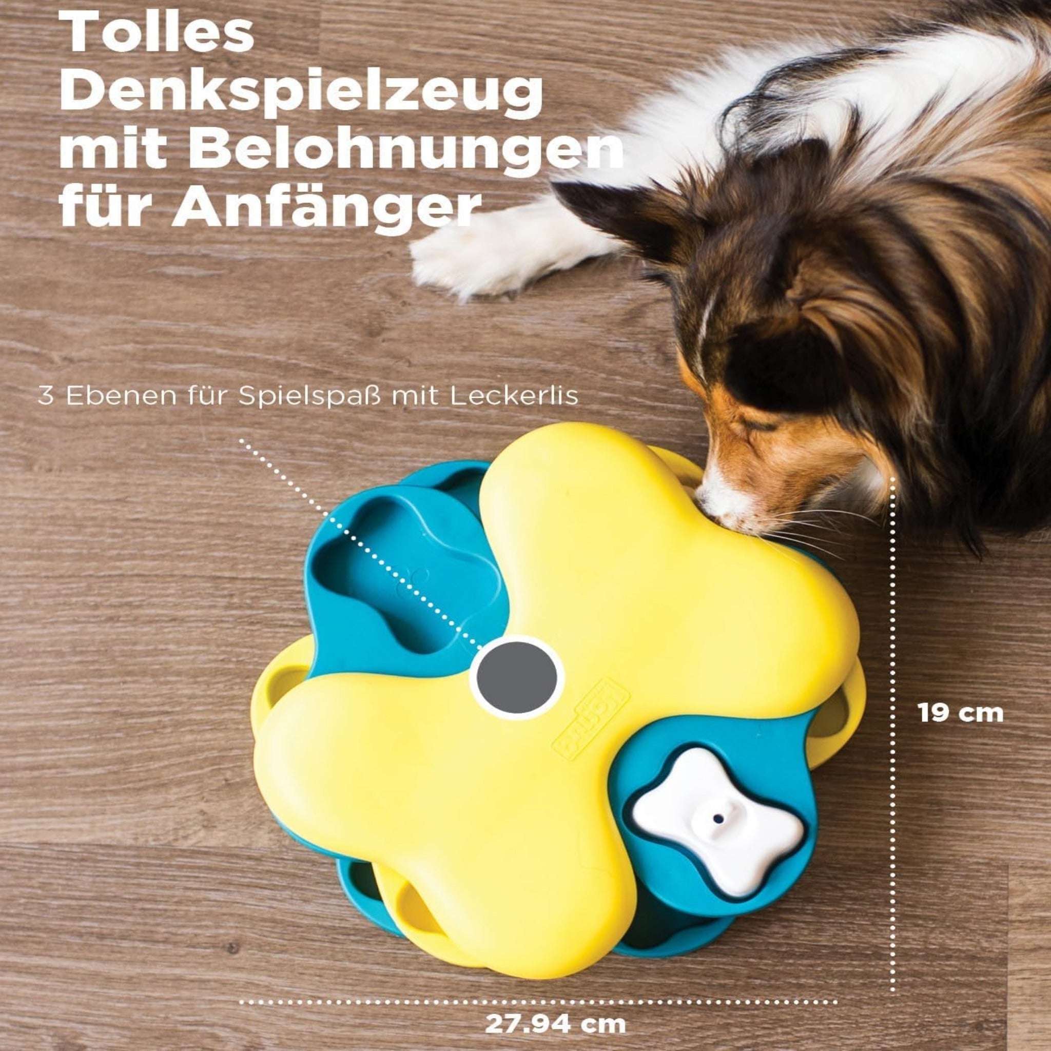 Intelligenzspielzeug für Hunde HIER kaufen