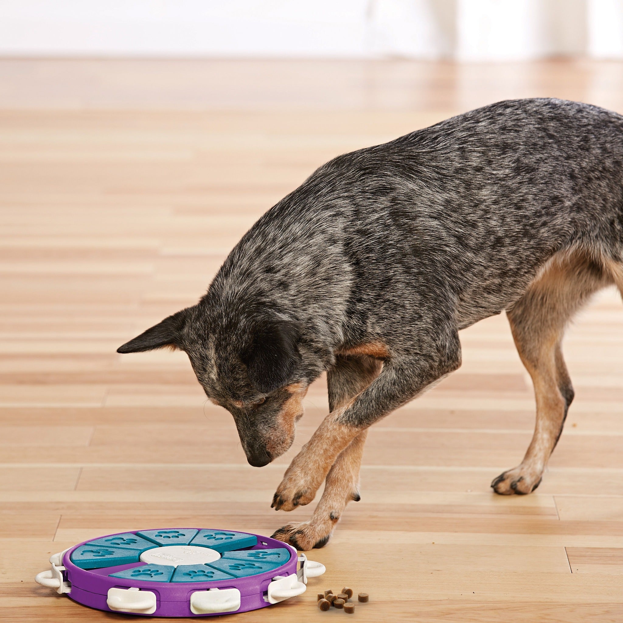 Nina Ottosson Dog Twister, Intelligenzspielzeug - Woofshack
