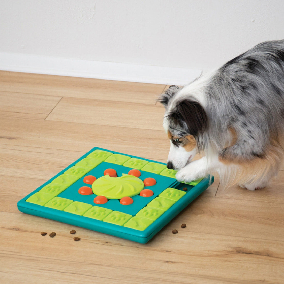 Outward Hound Nina Ottosson Treat Tumble Blue Interactive Treat-Dispensing  Puzzle Dog Toy, Small