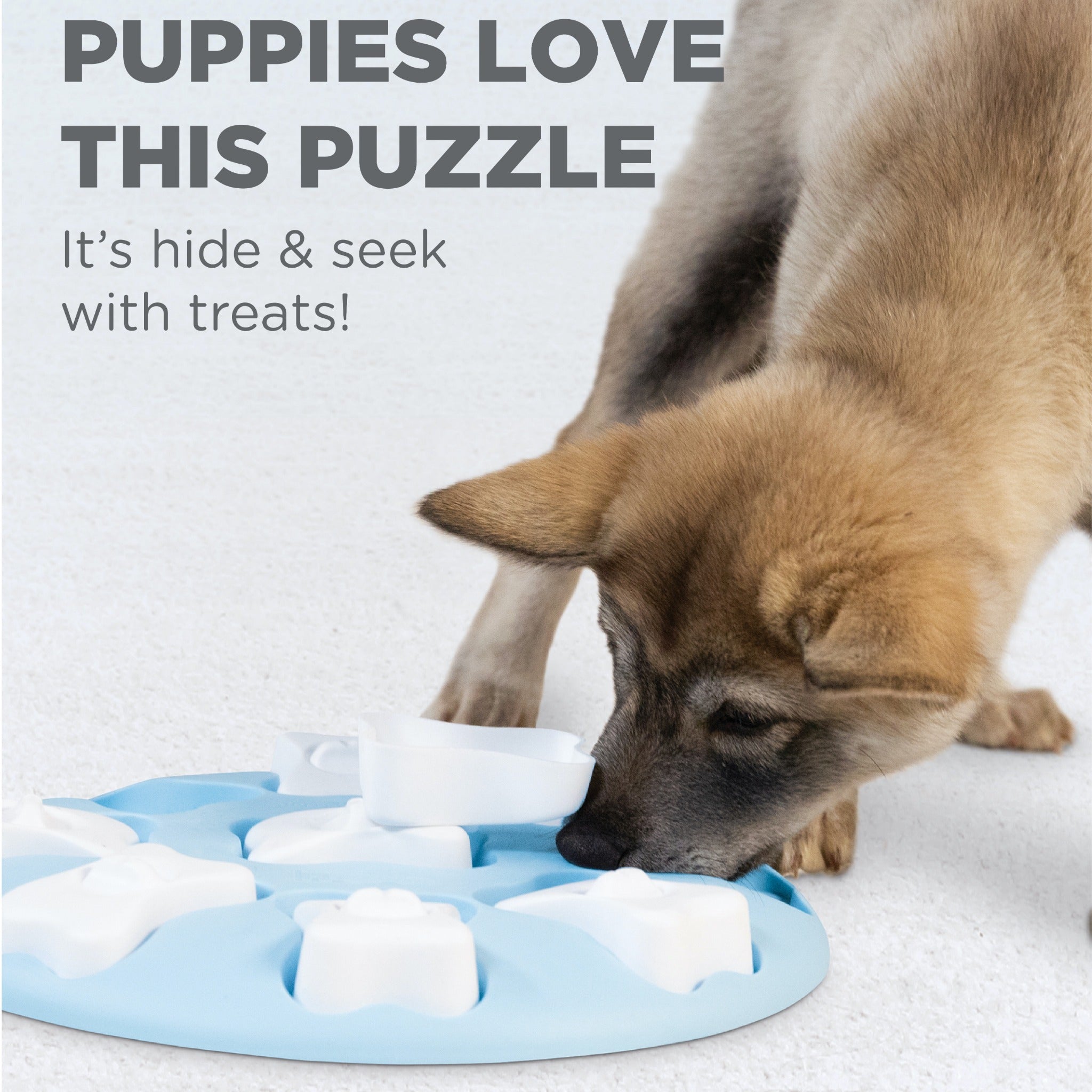 Nina Ottosson Puppy Smart, Intelligenzspielzeug - Woofshack